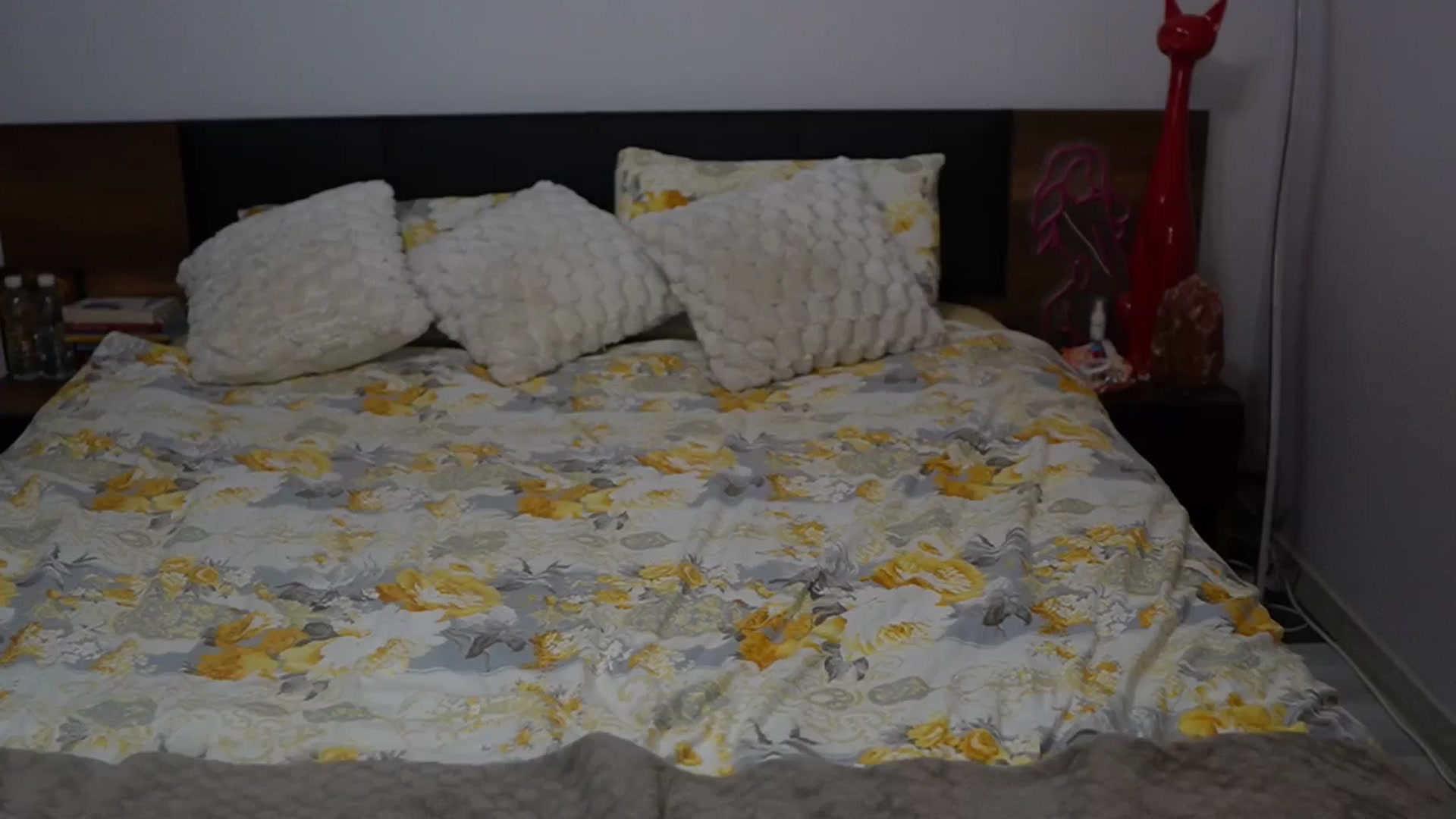 Gallery image thumbnail from TinyAndrea's myfreecams stream on, 08/02/2025, 02:30 image 15 of 20