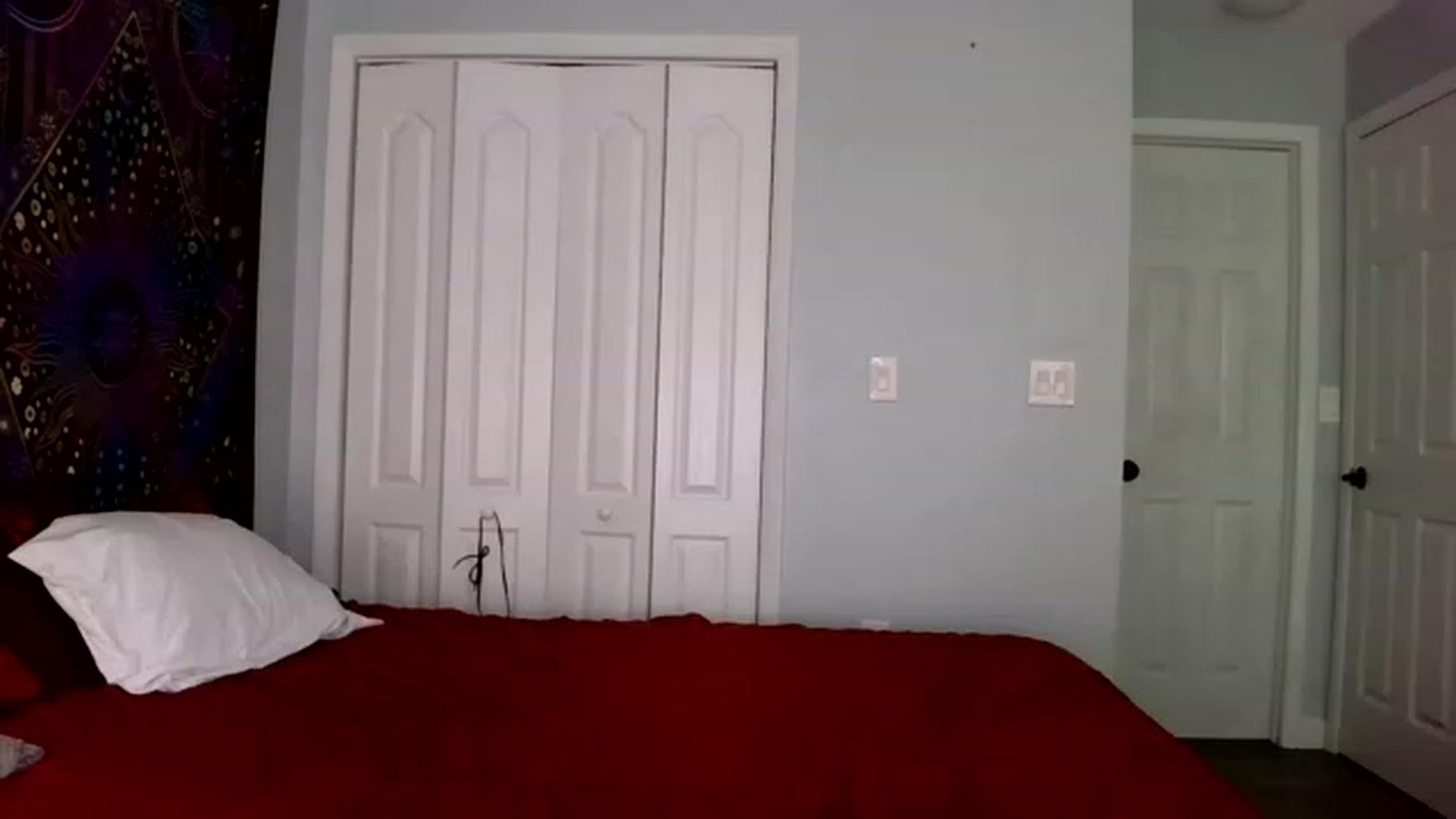 Gallery image thumbnail from TinyTempest's myfreecams stream on, 11/26/2022, 22:33 image 18 of 20