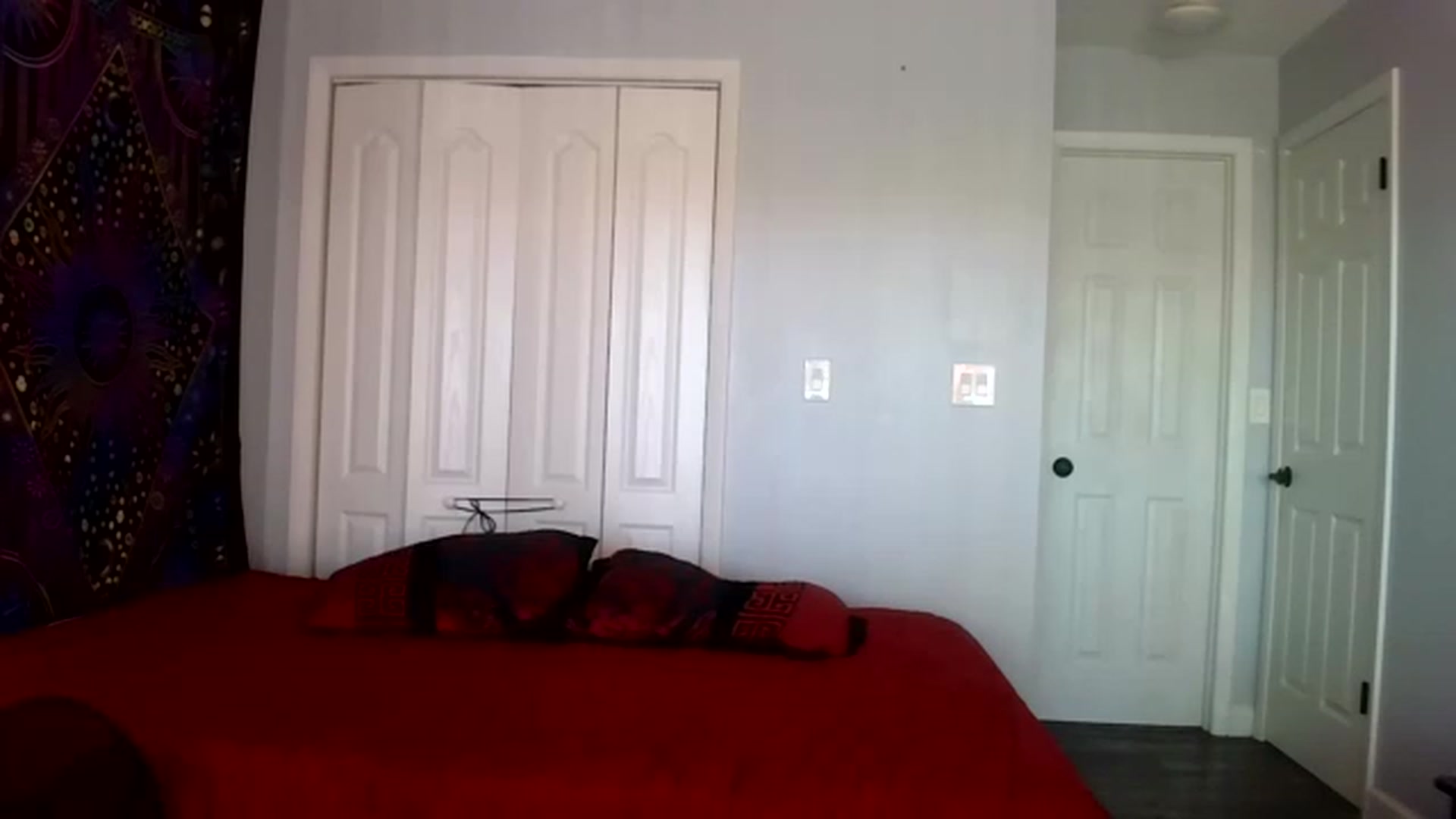 Gallery image thumbnail from TinyTempest's myfreecams stream on, 12/18/2022, 21:34 image 15 of 20