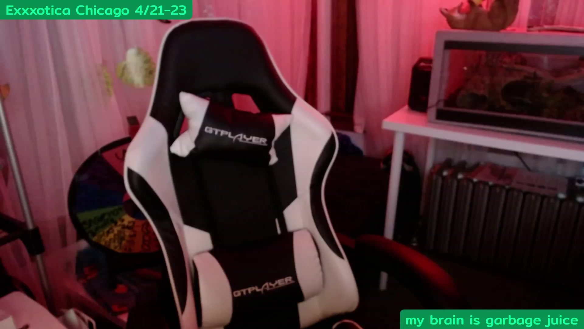 Gallery image thumbnail from Tinyfossil's myfreecams stream on, 04/16/2023, 05:28 image 8 of 20