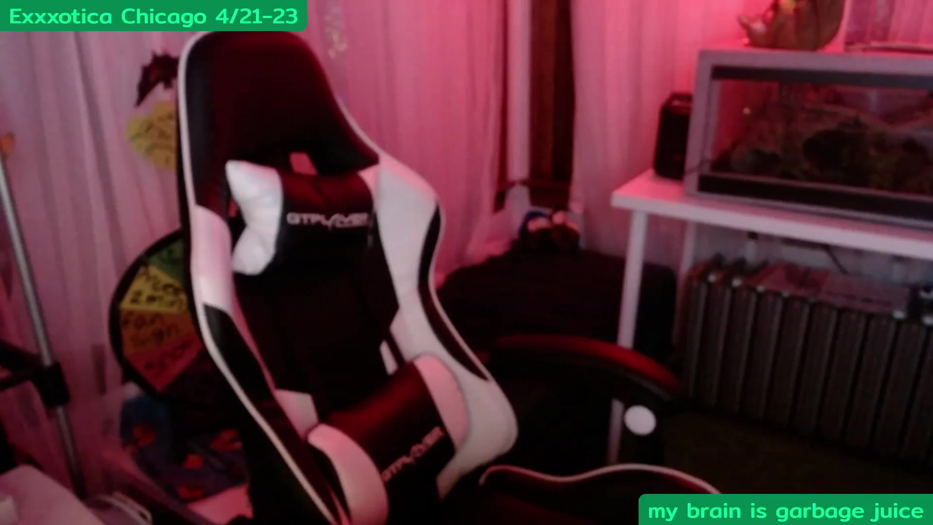 Gallery image thumbnail from Tinyfossil's myfreecams stream on, 04/16/2023, 06:43 image 1 of 20