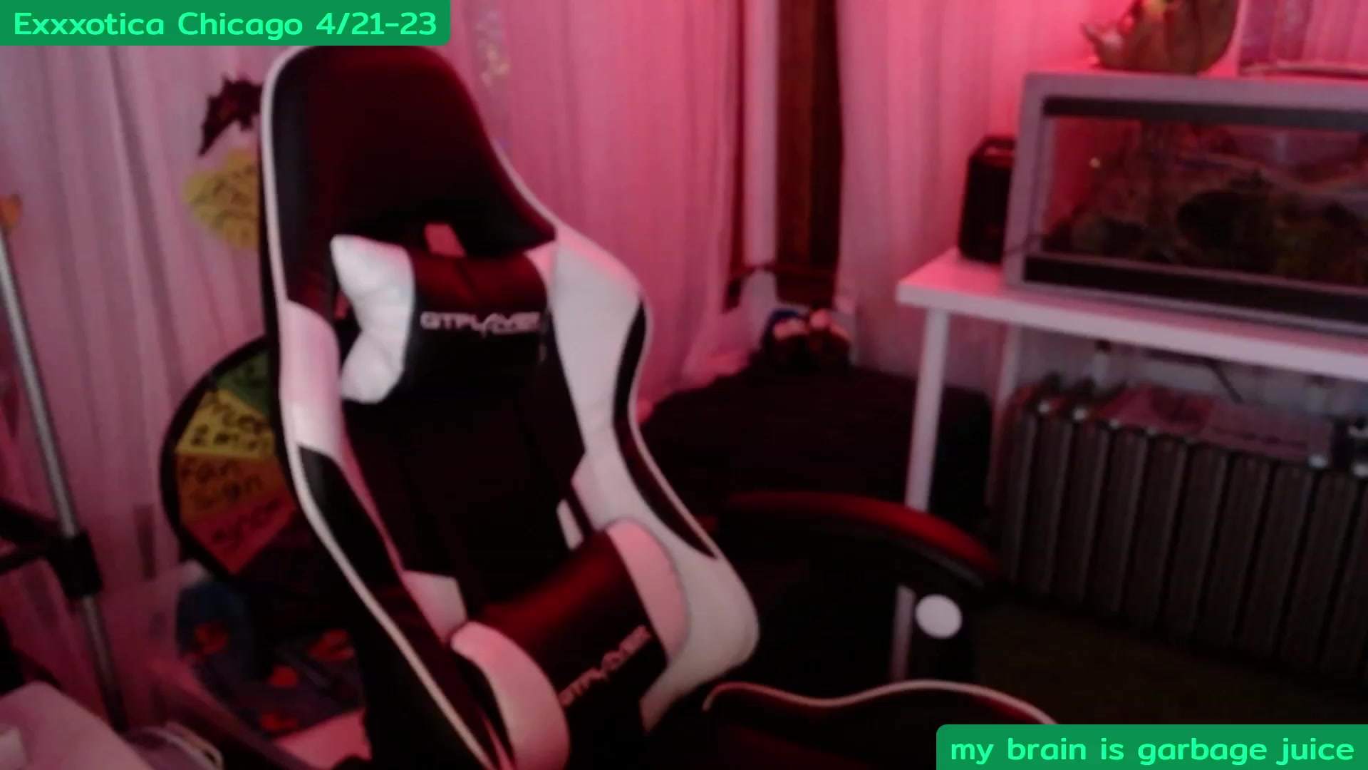 Gallery image thumbnail from Tinyfossil's myfreecams stream on, 04/16/2023, 06:43 image 2 of 20