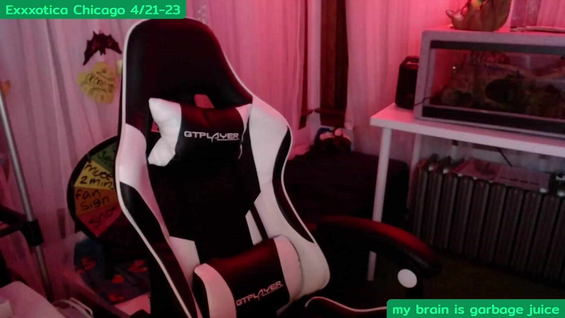 Gallery image thumbnail from Tinyfossil's myfreecams stream on, 04/16/2023, 06:43 image 16 of 20