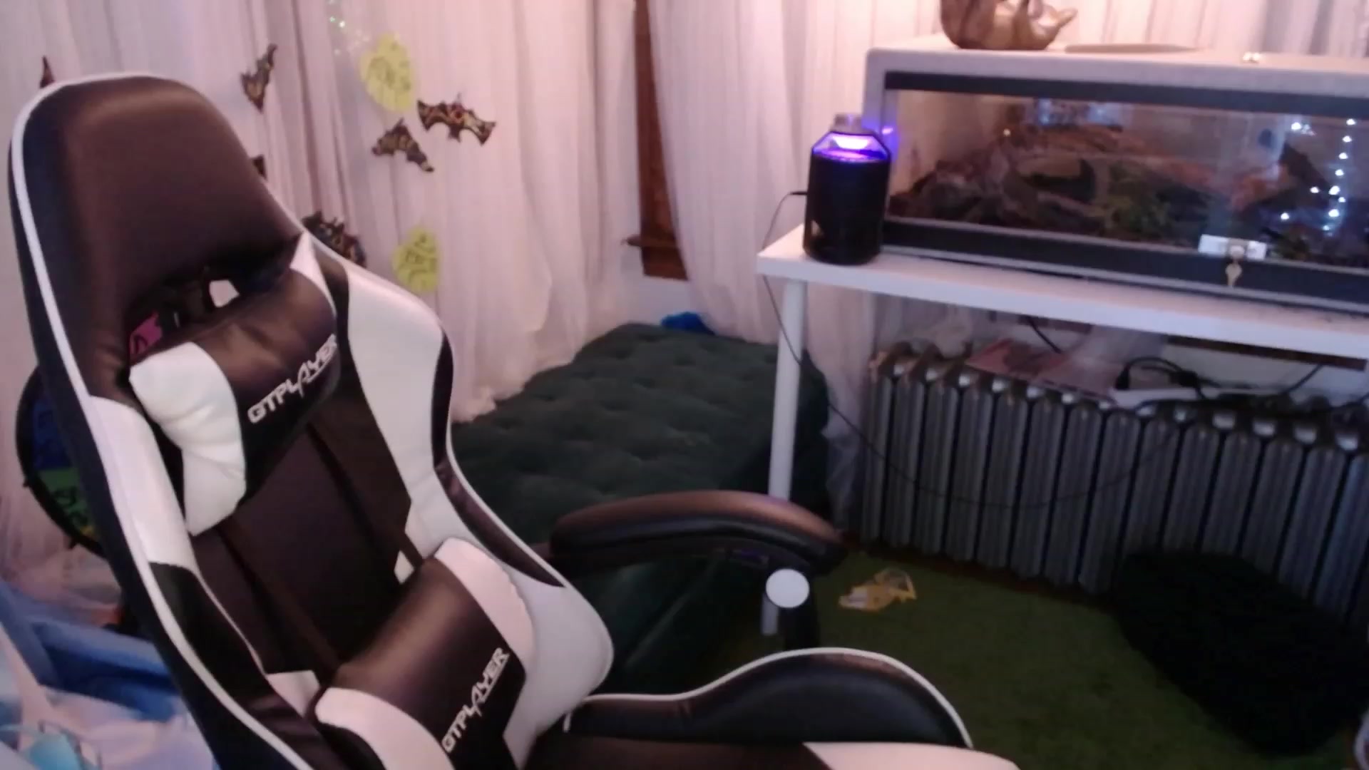 Gallery image thumbnail from Tinyfossil's myfreecams stream on, 08/26/2023, 06:14 image 19 of 20