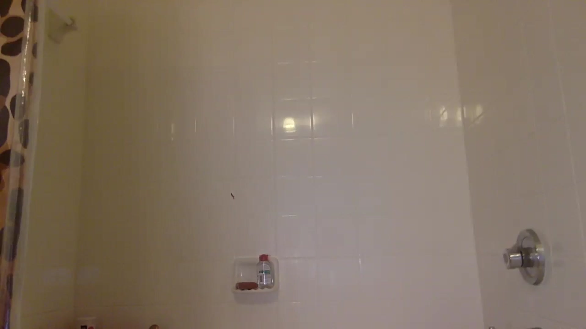 Gallery image thumbnail from Tinyydancerr's myfreecams stream on, 03/13/2025, 13:29 image 2 of 20
