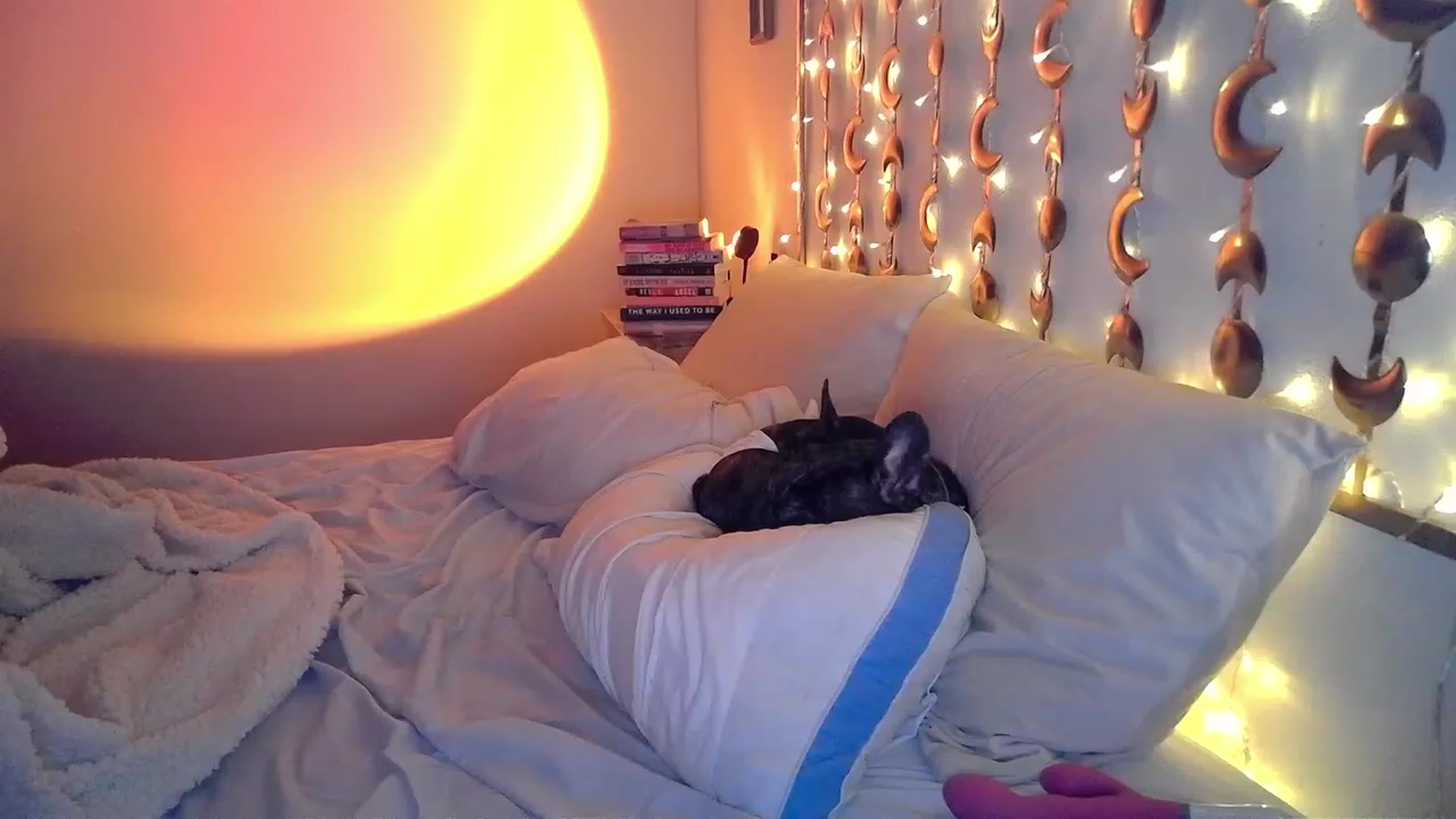 Gallery image thumbnail from TitsMcgeee's myfreecams stream on, 12/22/2022, 11:35 image 5 of 20