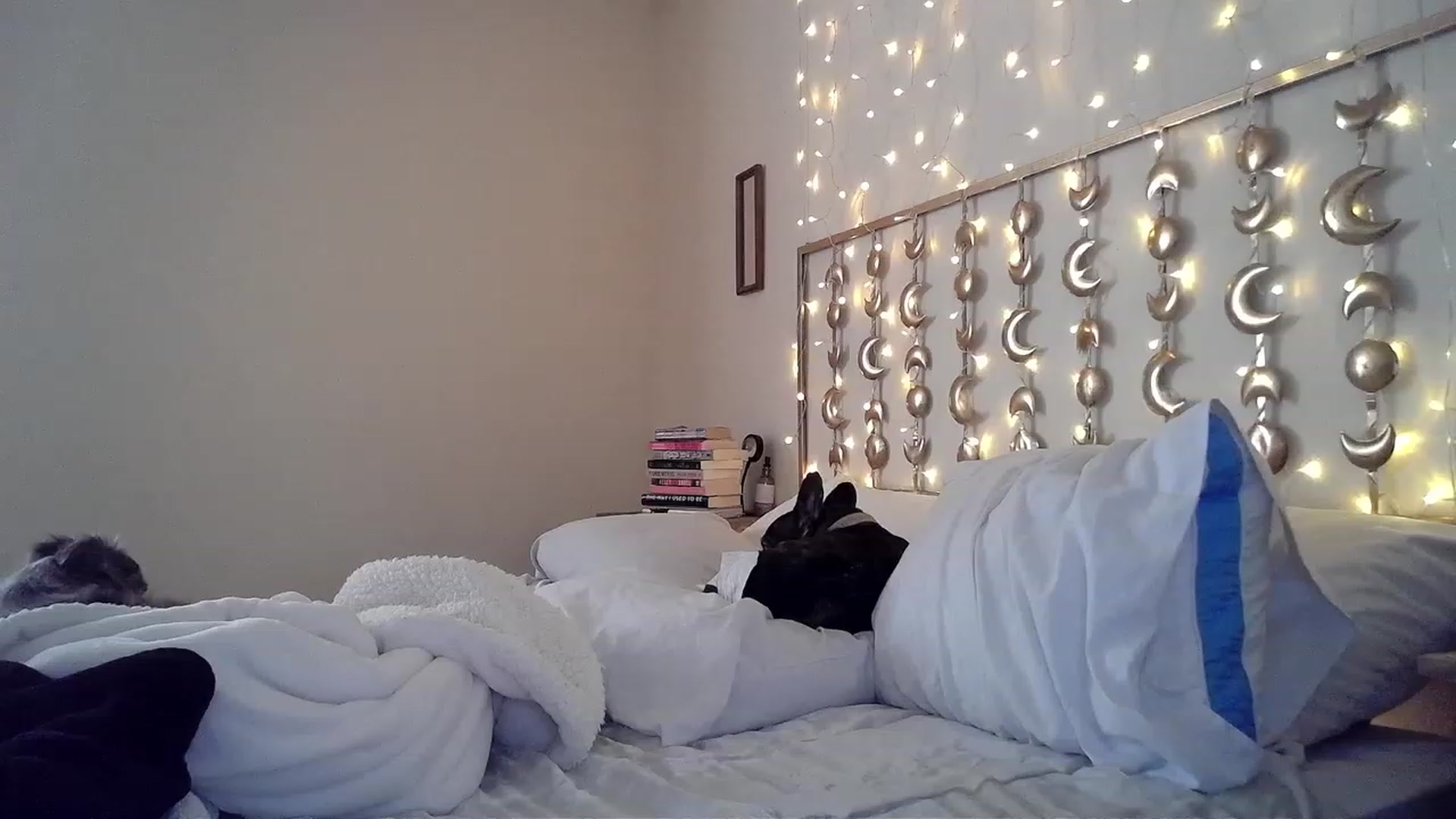Gallery image thumbnail from TitsMcgeee's myfreecams stream on, 01/06/2023, 19:48 image 3 of 20