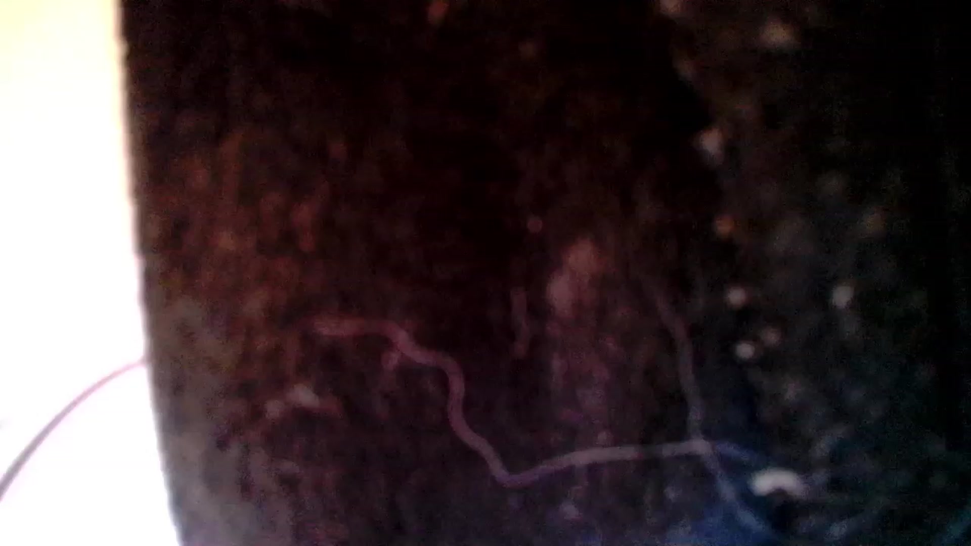 Gallery image thumbnail from TitsMcgeee's myfreecams stream on, 01/16/2023, 03:25 image 17 of 20