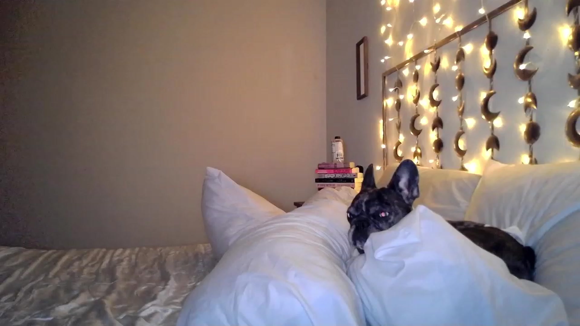 Gallery image thumbnail from TitsMcgeee's myfreecams stream on, 01/22/2023, 05:16 image 12 of 20