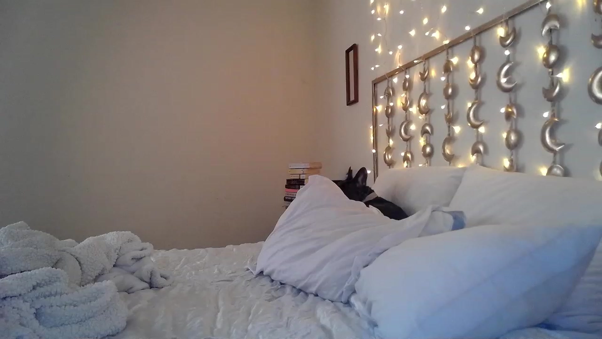 Gallery image thumbnail from TitsMcgeee's myfreecams stream on, 03/15/2023, 24:03 image 9 of 20