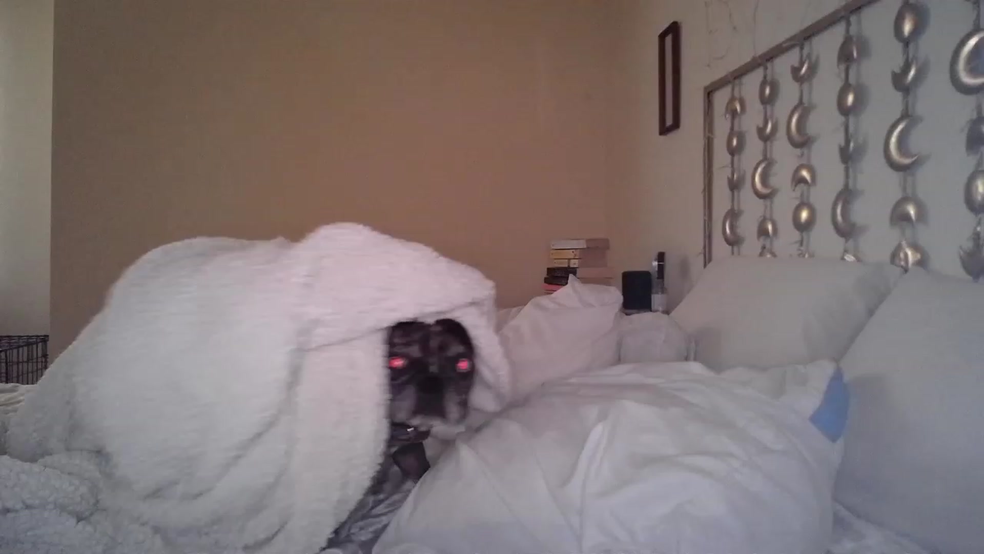Gallery image thumbnail from TitsMcgeee's myfreecams stream on, 03/19/2023, 24:00 image 1 of 20