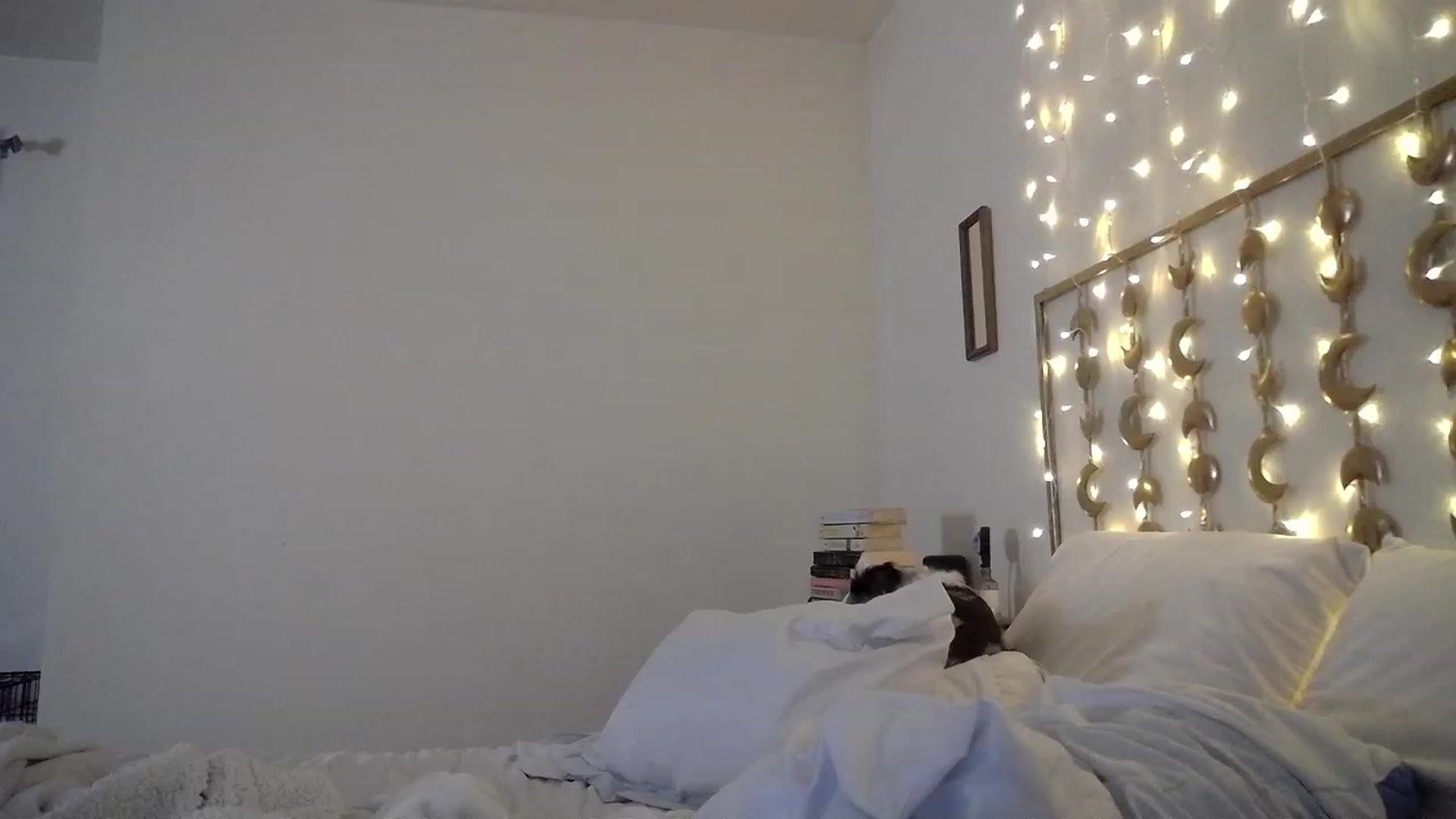 Gallery image thumbnail from TitsMcgeee's myfreecams stream on, 03/19/2023, 14:12 image 1 of 20