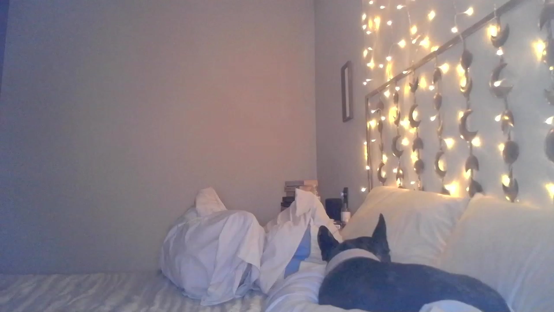 Gallery image thumbnail from TitsMcgeee's myfreecams stream on, 03/22/2023, 05:38 image 11 of 20