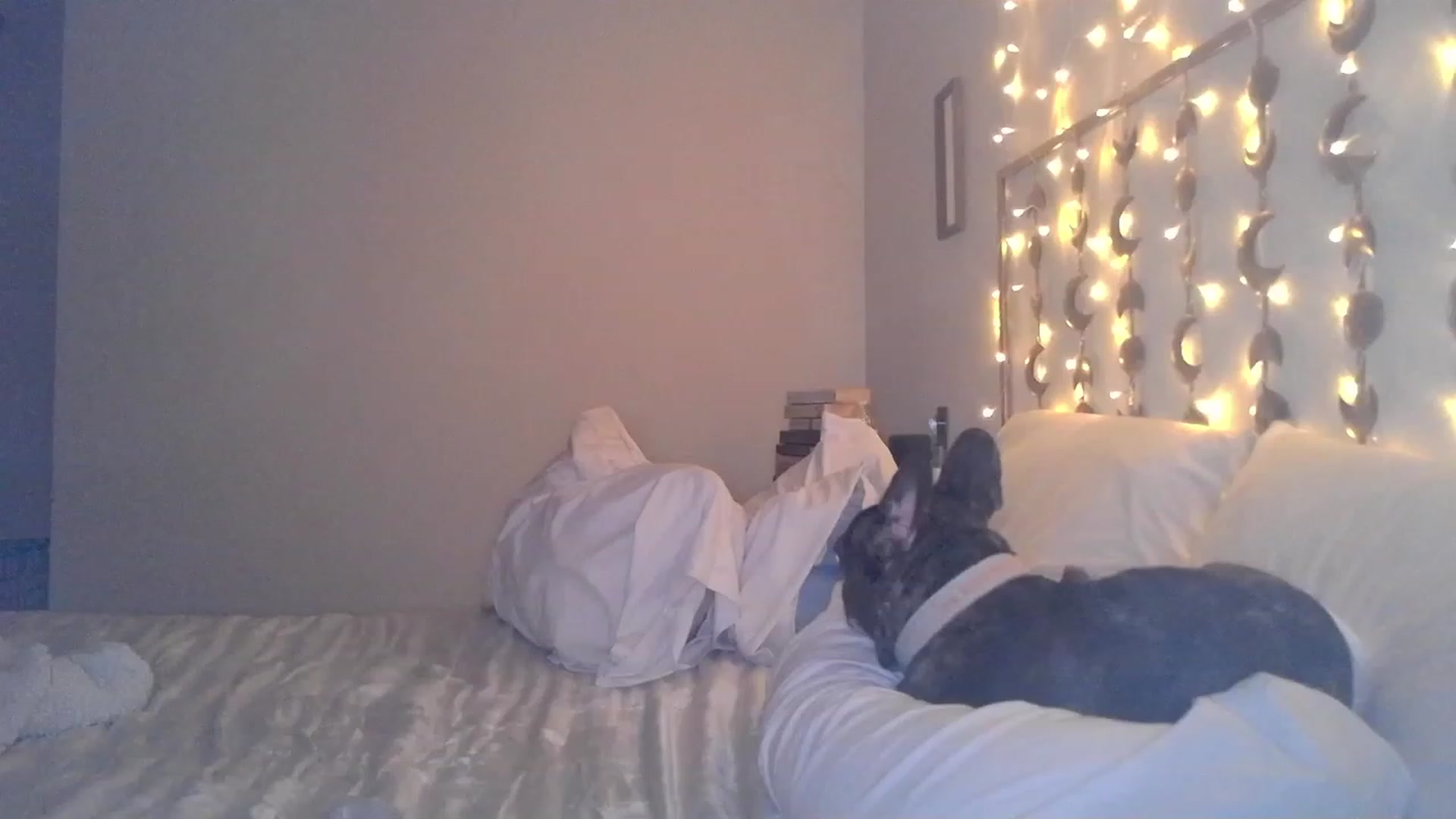Gallery image thumbnail from TitsMcgeee's myfreecams stream on, 03/22/2023, 05:38 image 3 of 20