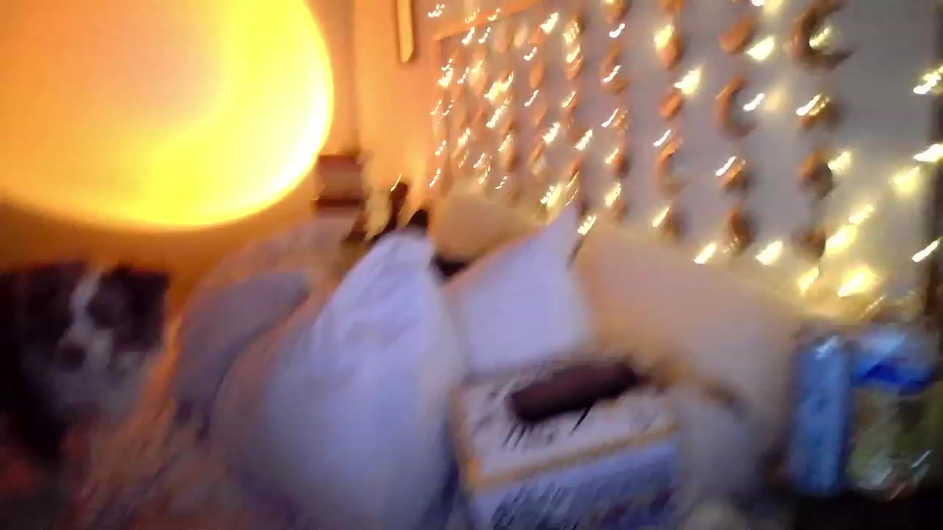 Gallery image thumbnail from TitsMcgeee's myfreecams stream on, 04/21/2023, 01:24 image 16 of 20