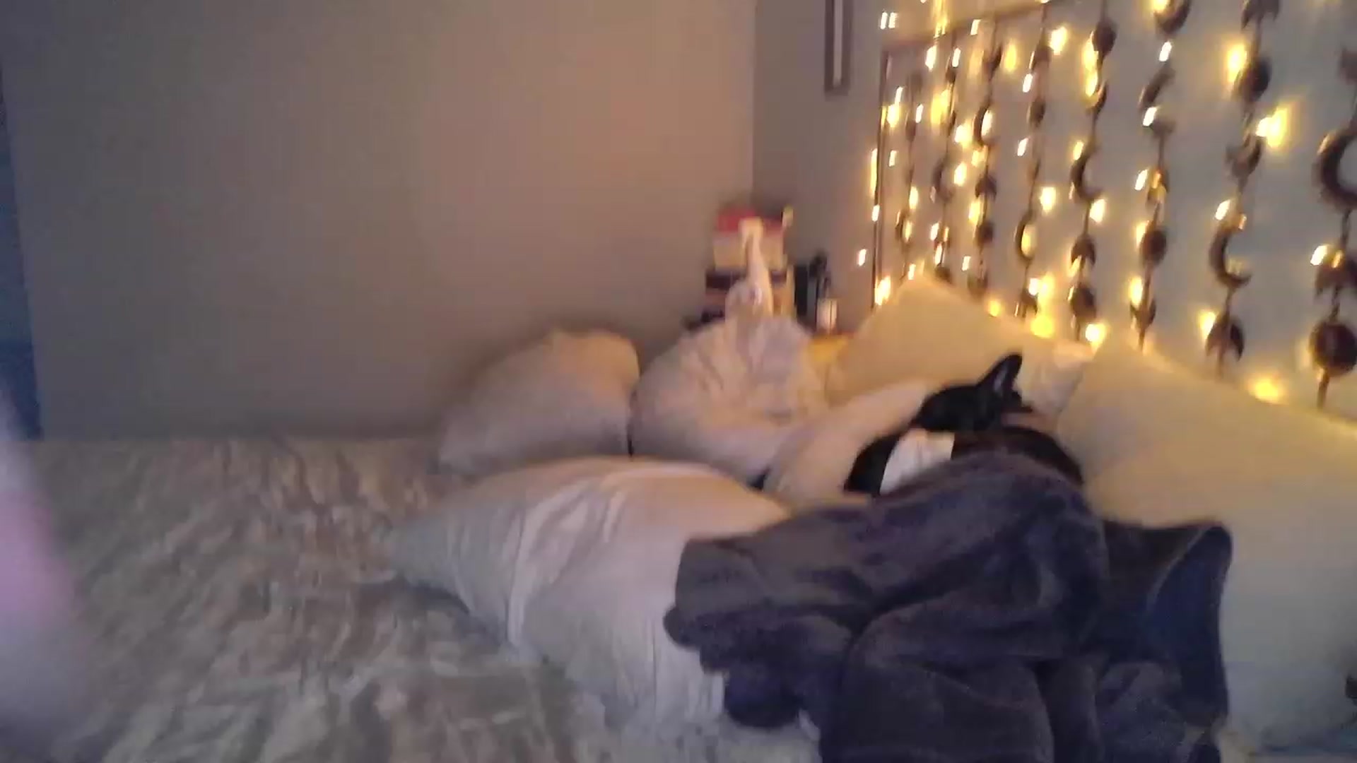 Gallery image thumbnail from TitsMcgeee's myfreecams stream on, 05/02/2023, 04:11 image 14 of 20