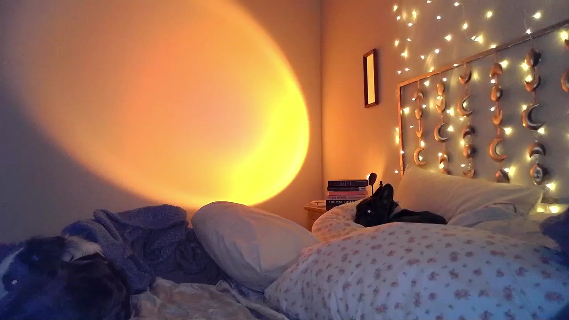 Gallery image thumbnail from TitsMcgeee's myfreecams stream on, 05/21/2023, 16:00 image 4 of 20