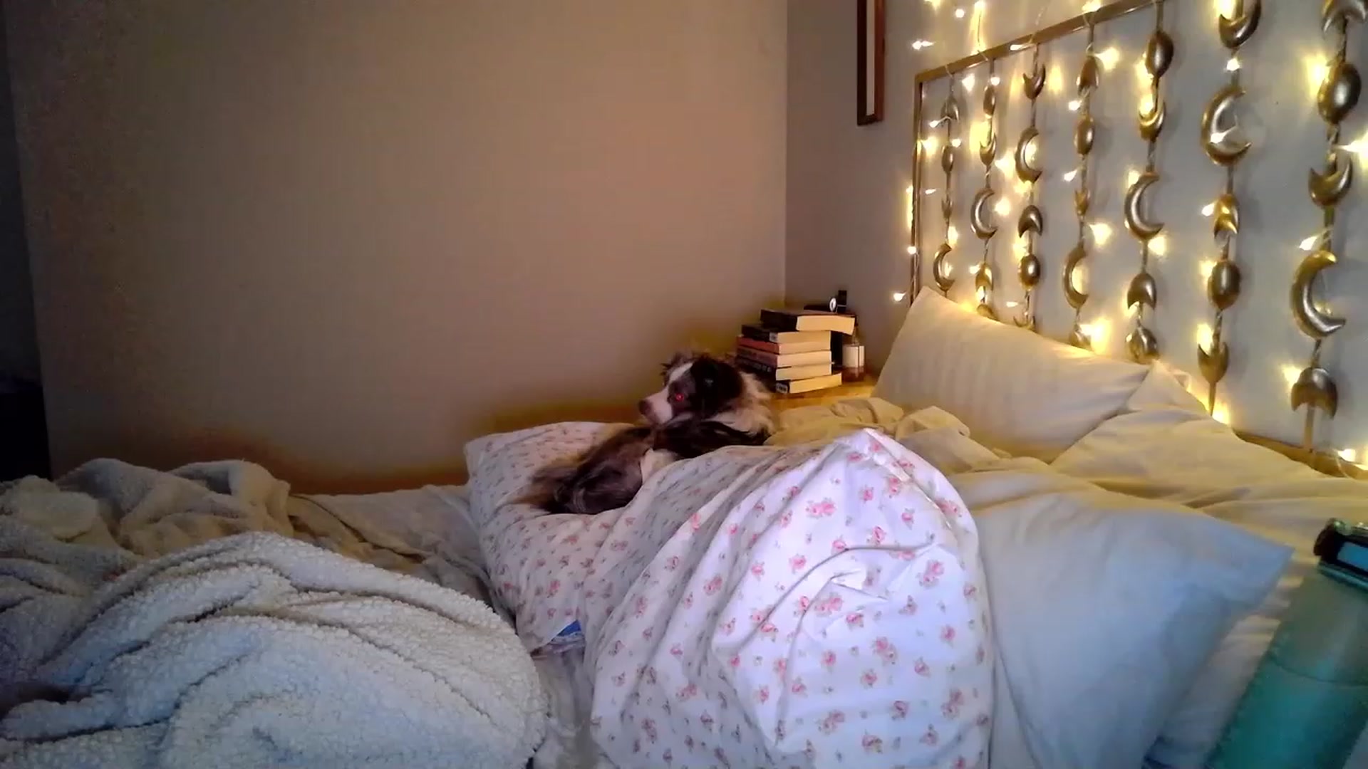 Gallery image thumbnail from TitsMcgeee's myfreecams stream on, 06/05/2023, 02:02 image 20 of 20