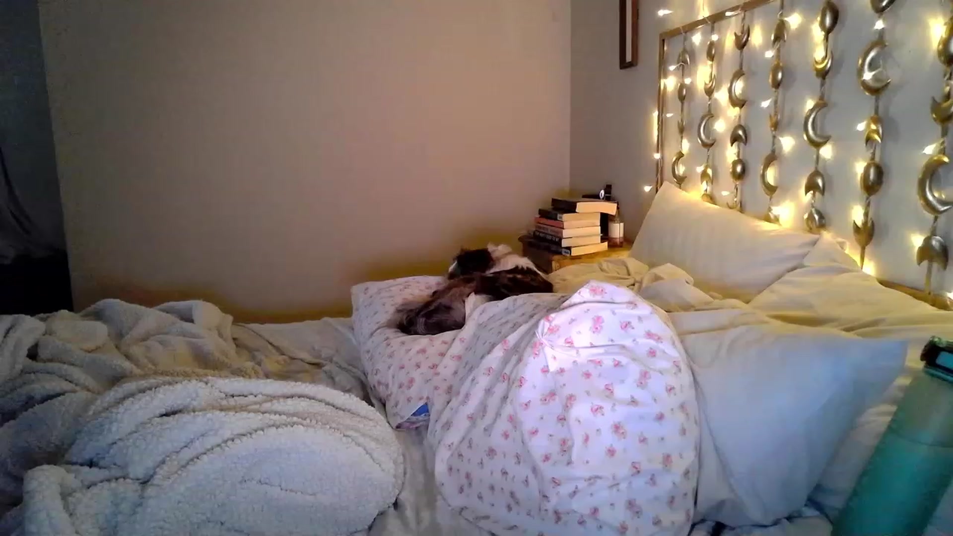 Gallery image thumbnail from TitsMcgeee's myfreecams stream on, 06/05/2023, 02:02 image 14 of 20