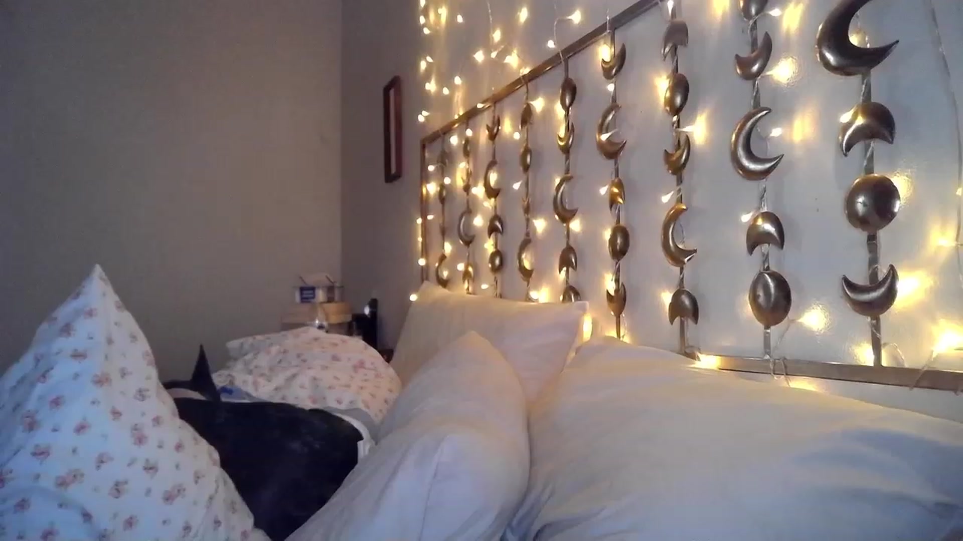 Gallery image thumbnail from TitsMcgeee's myfreecams stream on, 06/16/2023, 24:08 image 2 of 20