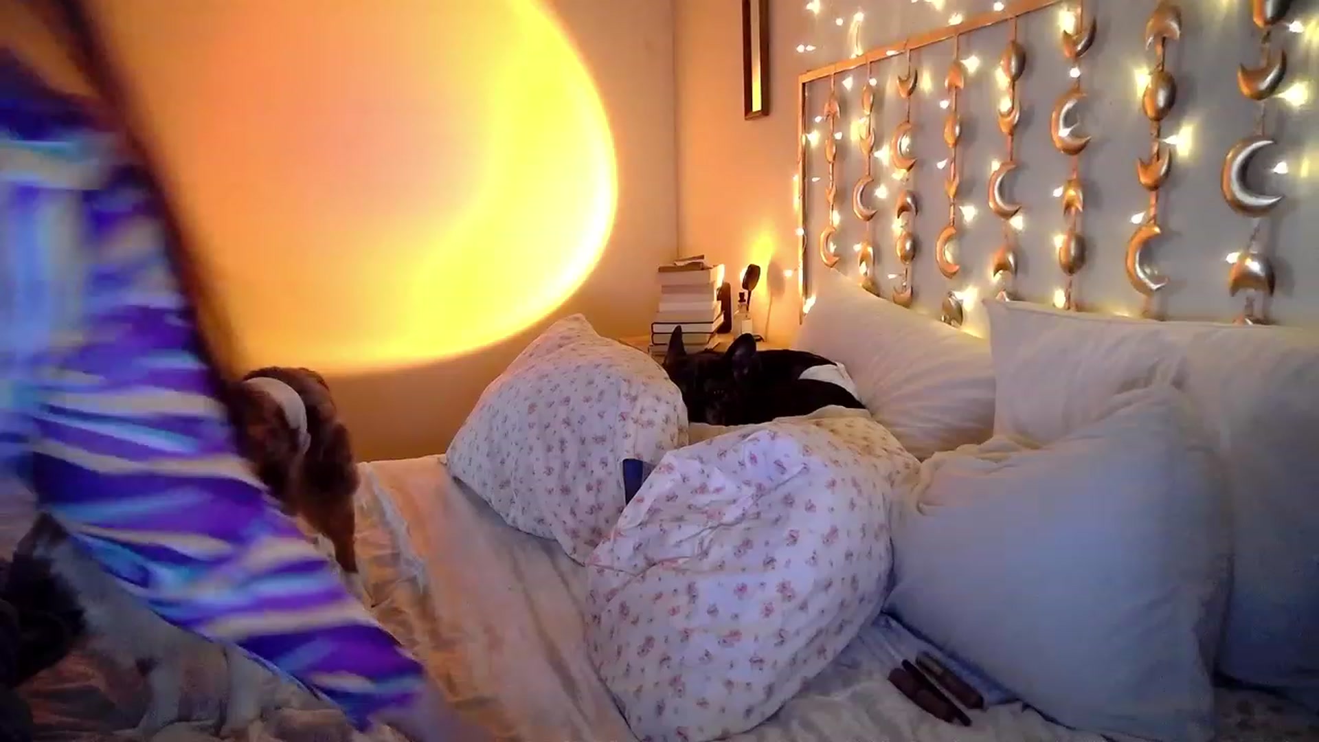 Gallery image thumbnail from TitsMcgeee's myfreecams stream on, 06/29/2023, 20:18 image 11 of 20