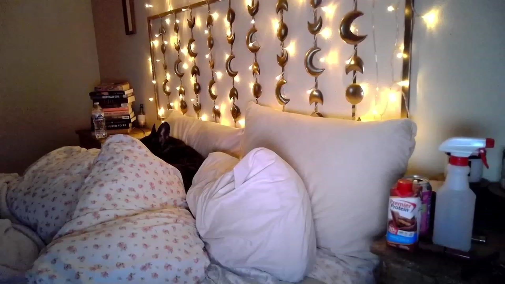 Gallery image thumbnail from TitsMcgeee's myfreecams stream on, 08/09/2023, 02:56 image 8 of 20