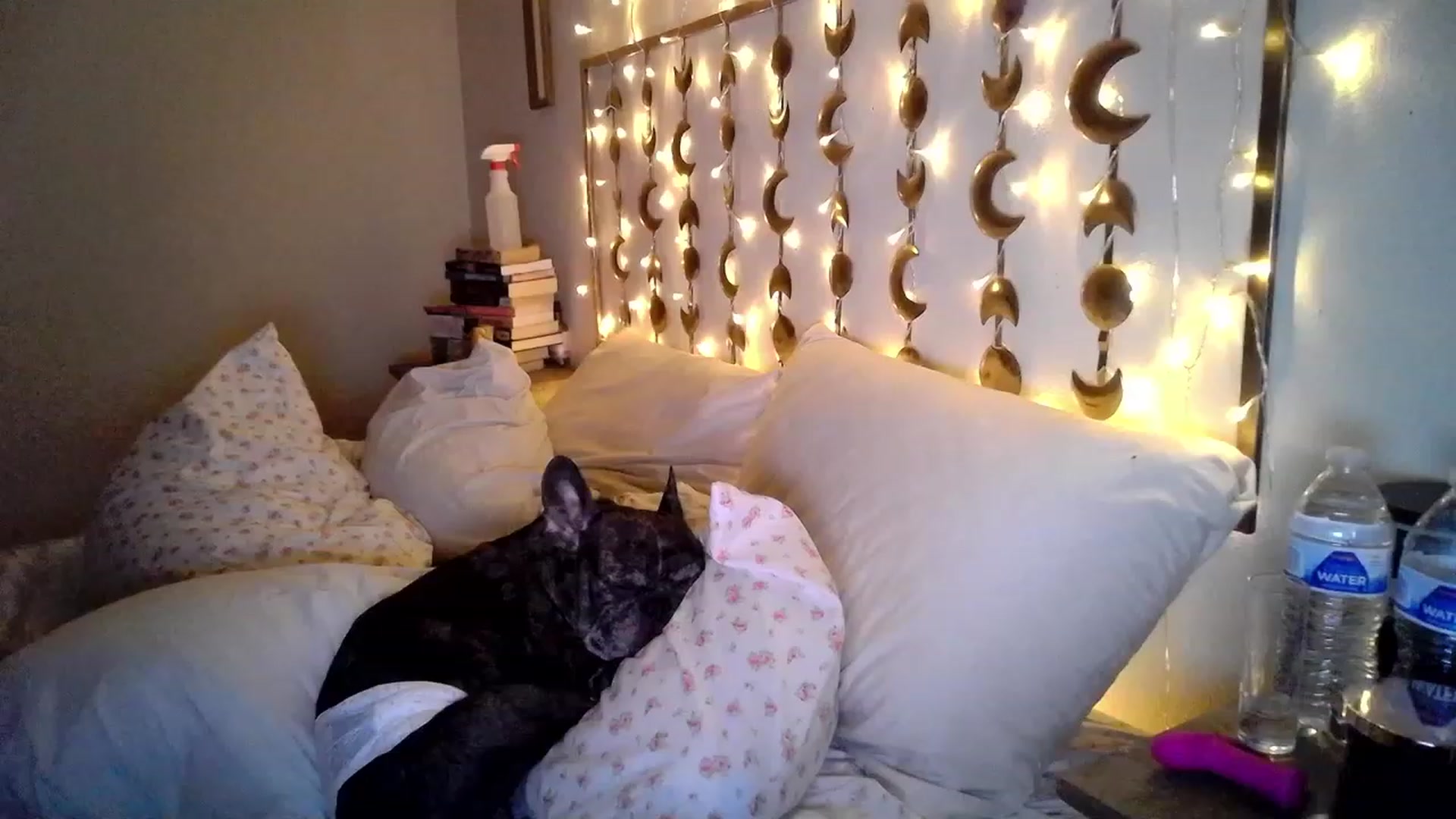 Gallery image thumbnail from TitsMcgeee's myfreecams stream on, 08/24/2023, 09:30 image 3 of 20
