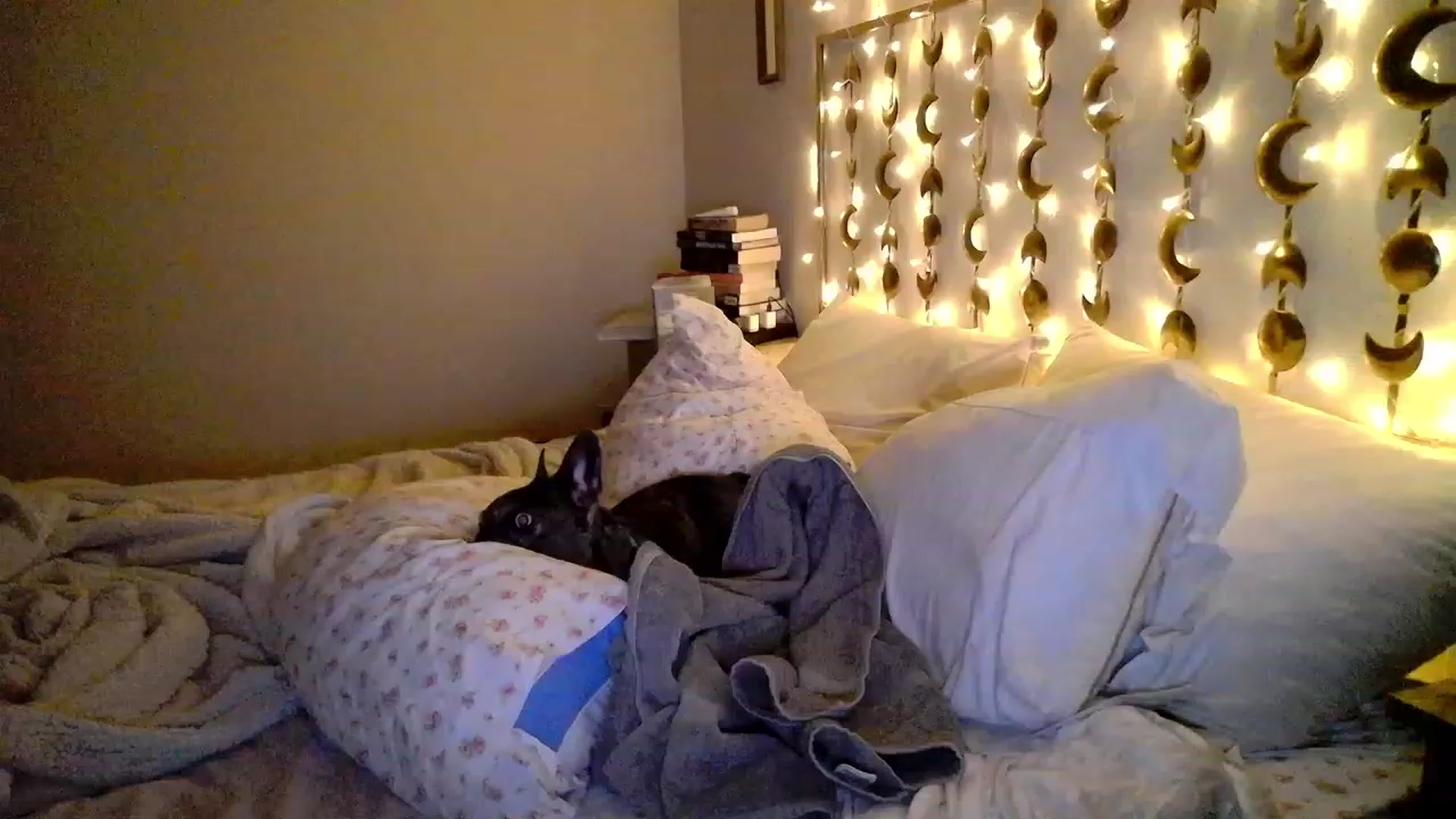 Gallery image thumbnail from TitsMcgeee's myfreecams stream on, 09/14/2023, 10:29 image 14 of 20