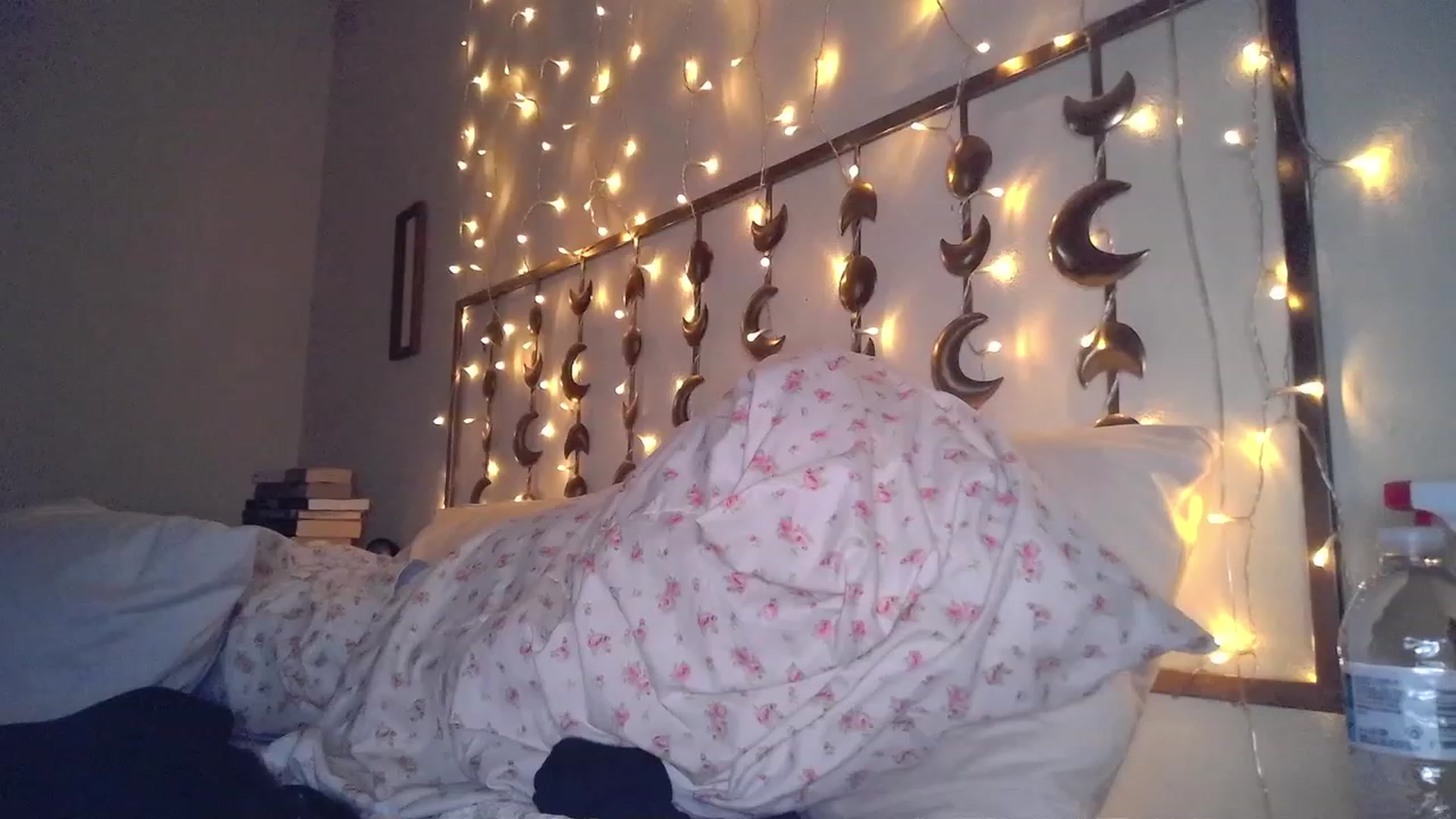 Gallery image thumbnail from TitsMcgeee's myfreecams stream on, 11/22/2023, 24:29 image 19 of 20