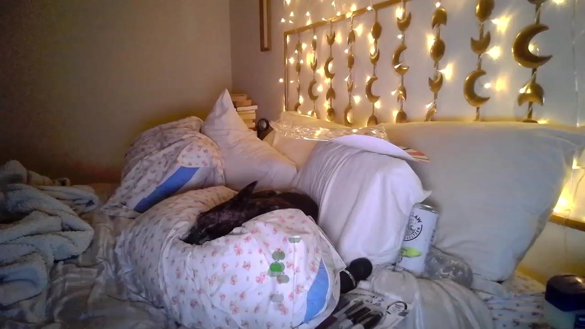 Gallery image thumbnail from TitsMcgeee's myfreecams stream on, 12/05/2023, 09:00 image 17 of 20