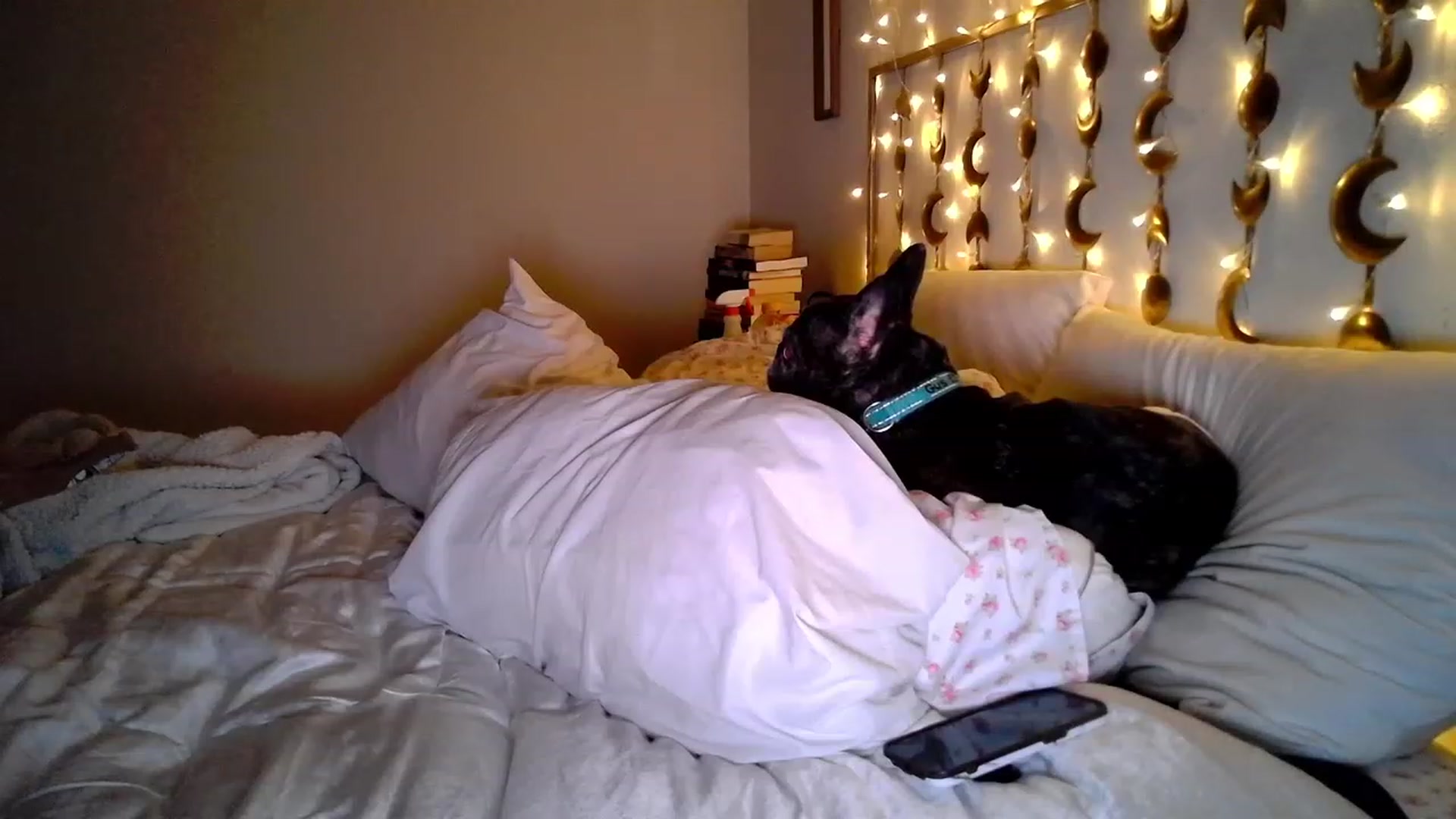 Gallery image thumbnail from TitsMcgeee's myfreecams stream on, 12/20/2023, 06:41 image 13 of 20