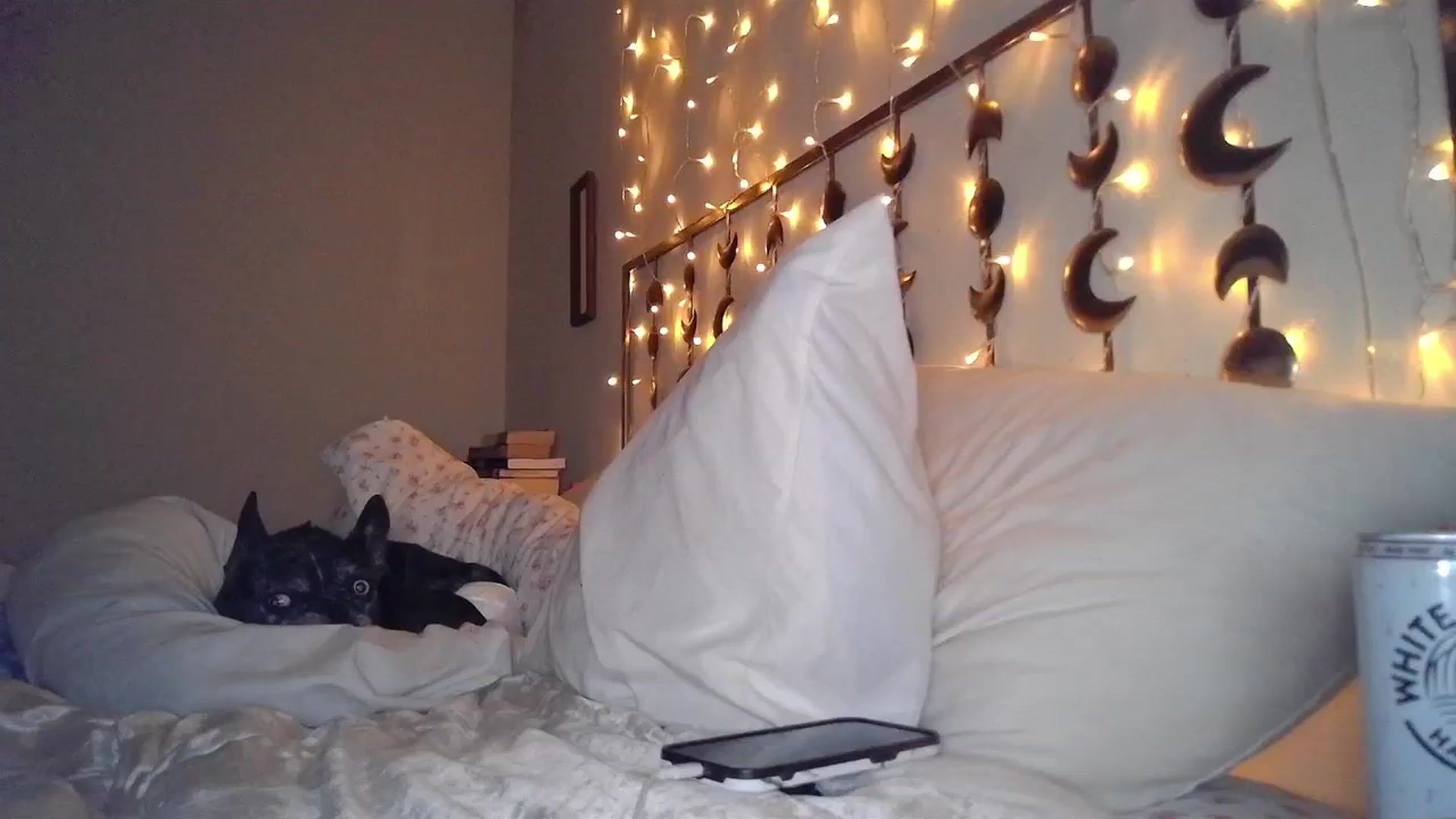 Gallery image thumbnail from TitsMcgeee's myfreecams stream on, 02/17/2024, 03:11 image 20 of 20