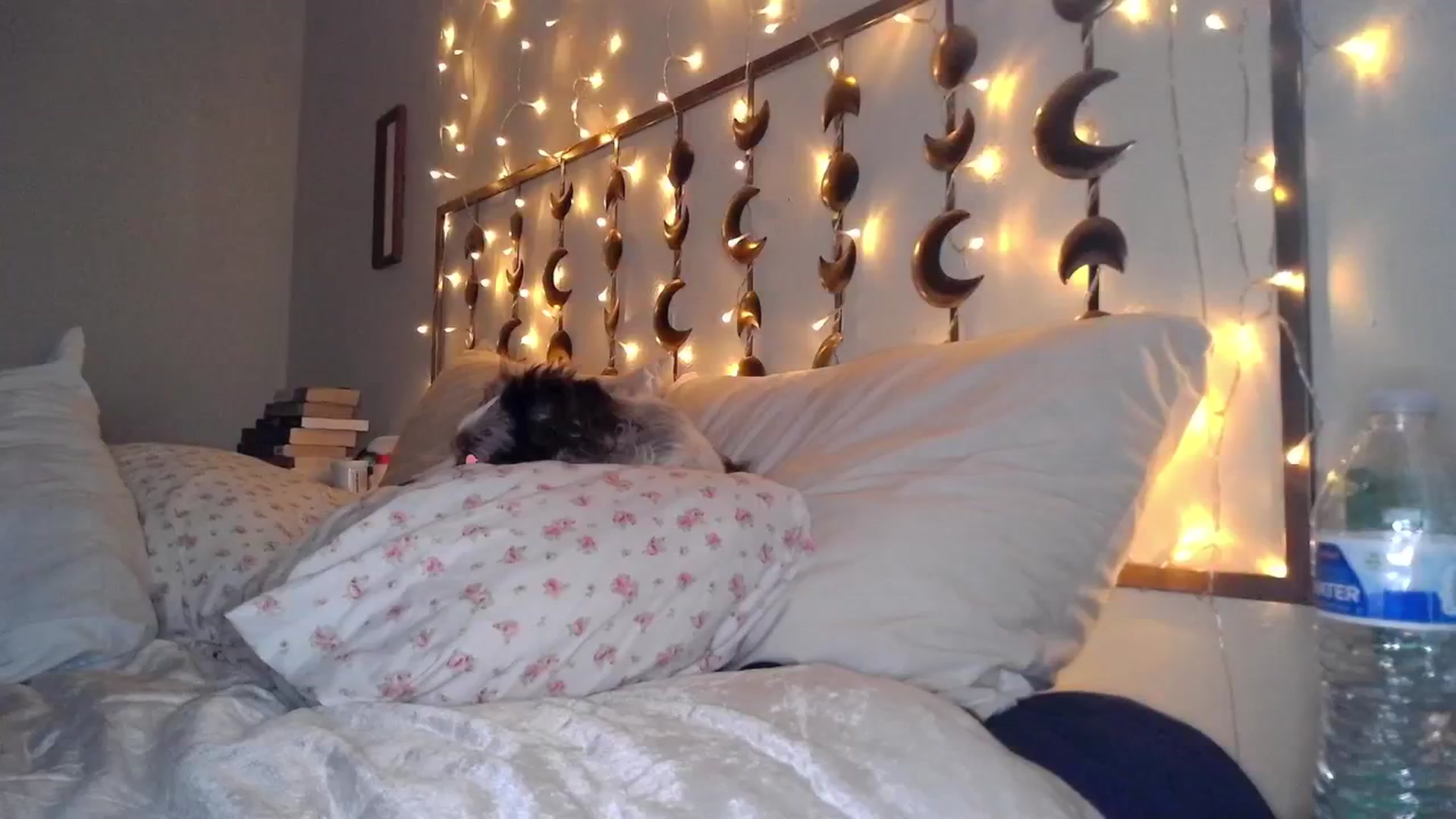 Gallery image thumbnail from TitsMcgeee's myfreecams stream on, 03/03/2024, 03:59 image 1 of 20
