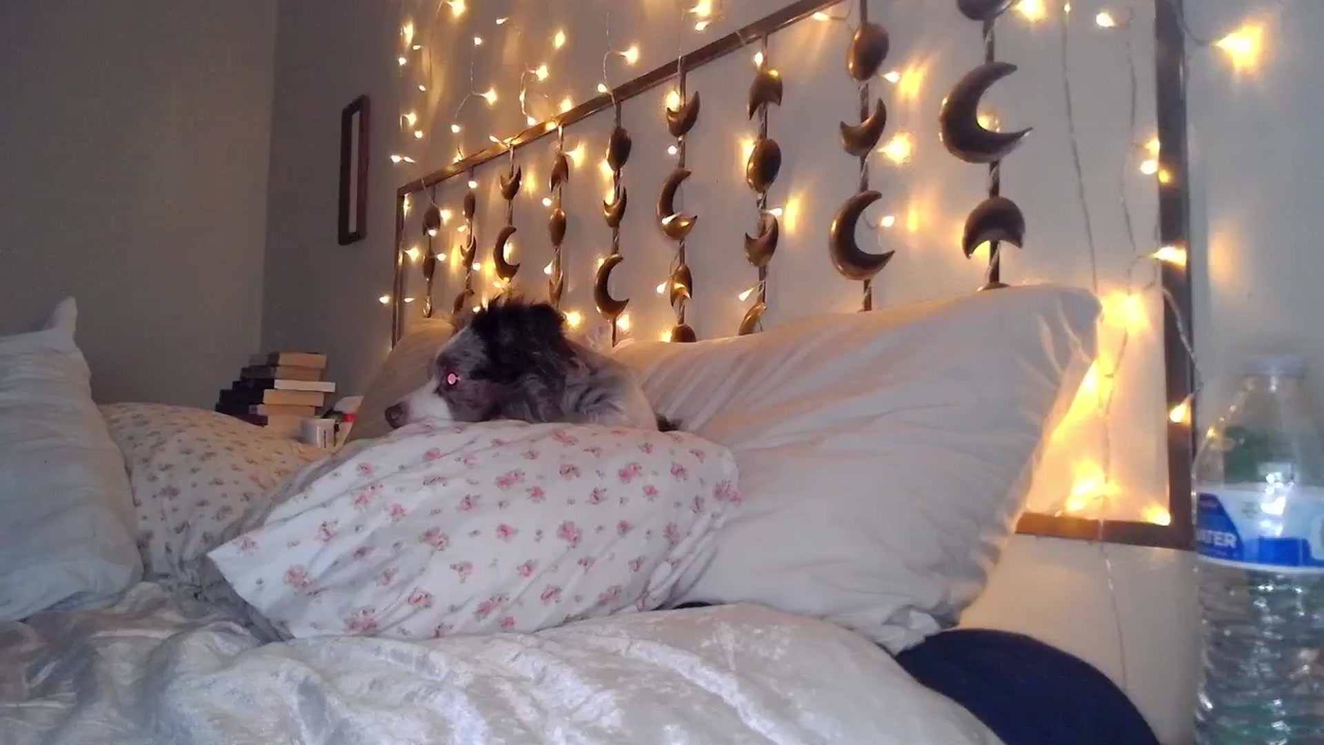 Gallery image thumbnail from TitsMcgeee's myfreecams stream on, 03/03/2024, 03:59 image 4 of 20