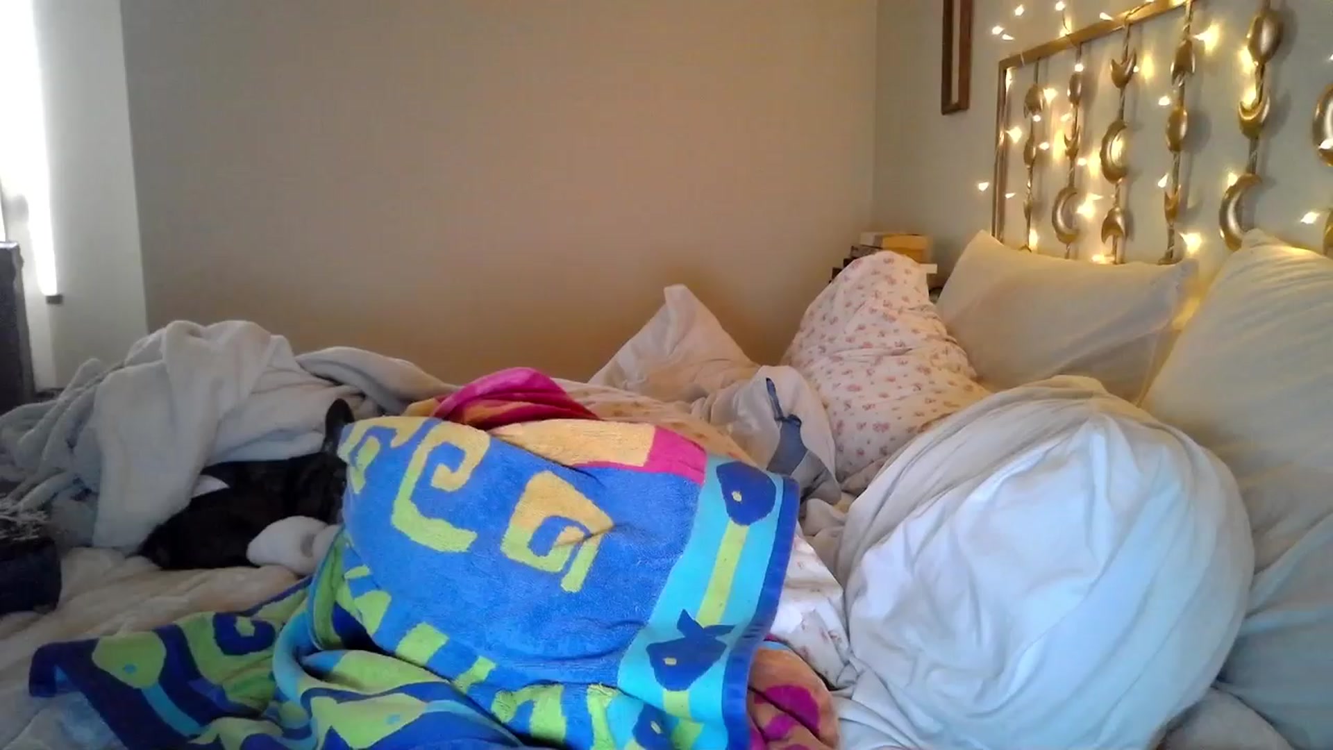 Gallery image thumbnail from TitsMcgeee's myfreecams stream on, 03/31/2024, 17:33 image 12 of 20