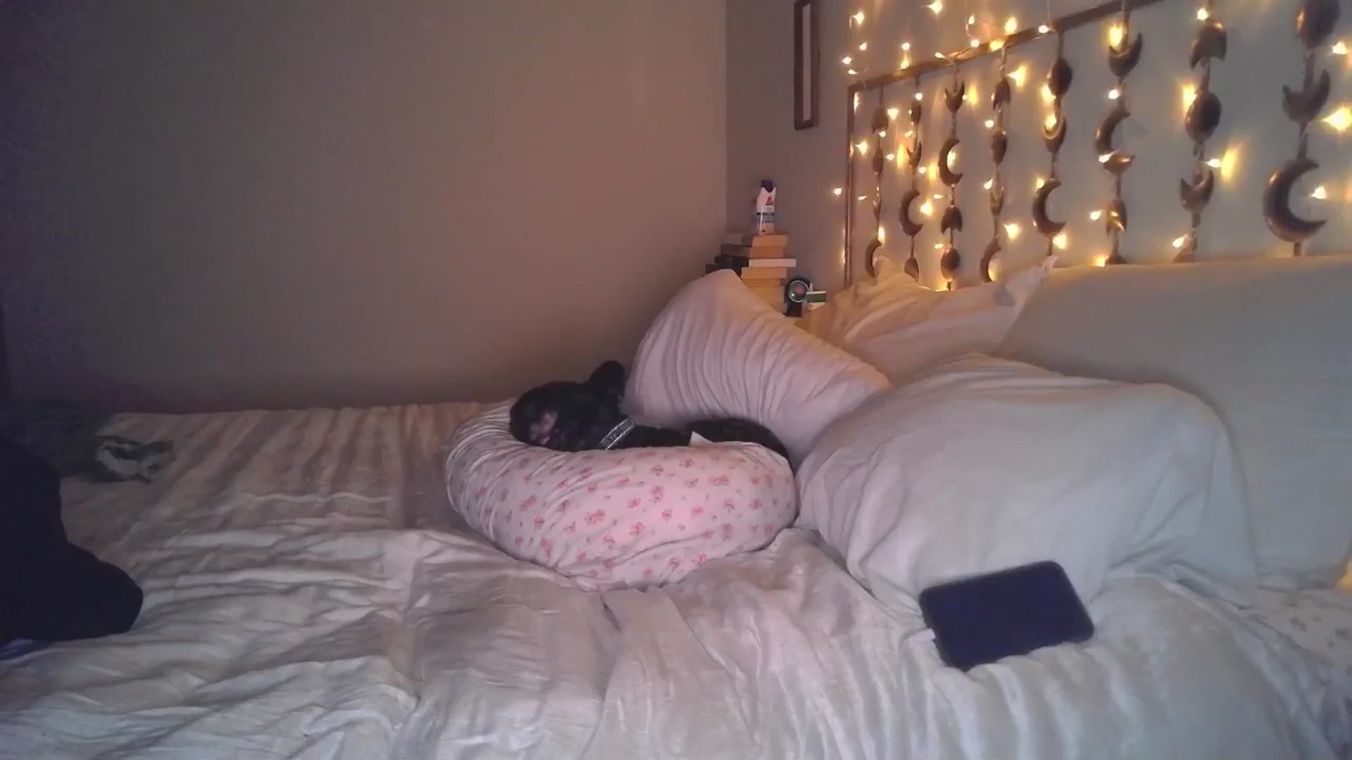 Gallery image thumbnail from TitsMcgeee's myfreecams stream on, 05/23/2024, 08:01 image 3 of 20