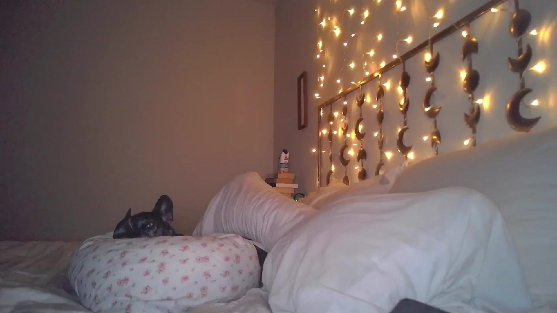 Gallery image thumbnail from TitsMcgeee's myfreecams stream on, 05/23/2024, 08:01 image 18 of 20