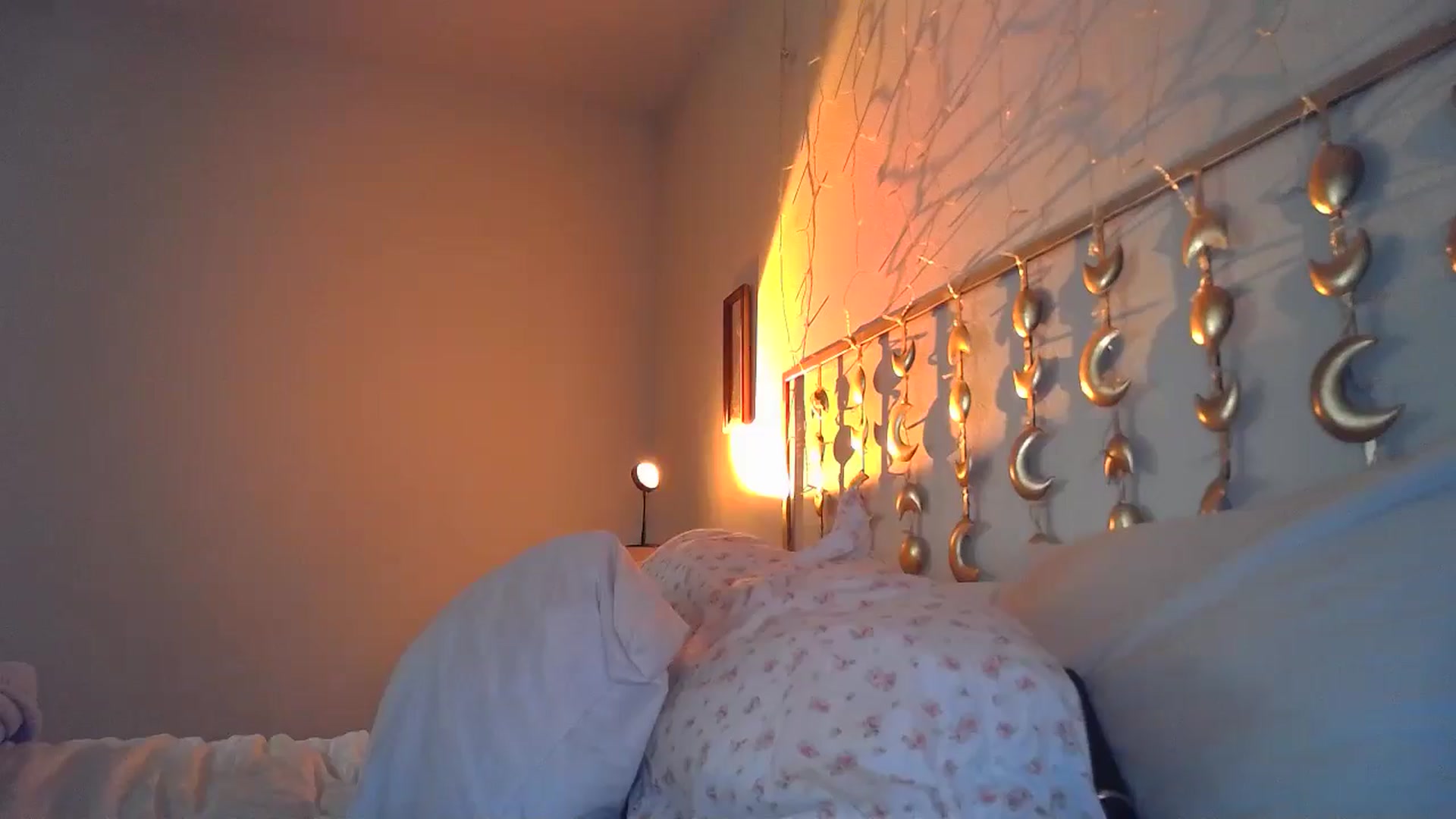 Gallery image thumbnail from TitsMcgeee's myfreecams stream on, 08/03/2024, 23:22 image 8 of 20