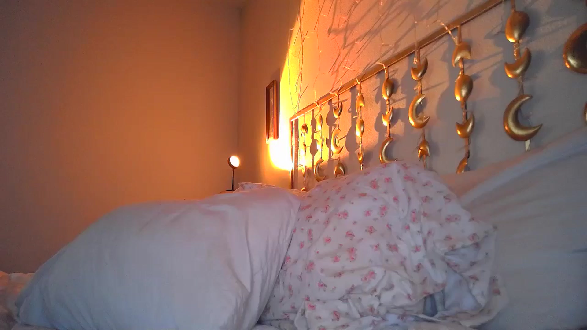 Gallery image thumbnail from TitsMcgeee's myfreecams stream on, 08/04/2024, 24:52 image 18 of 20