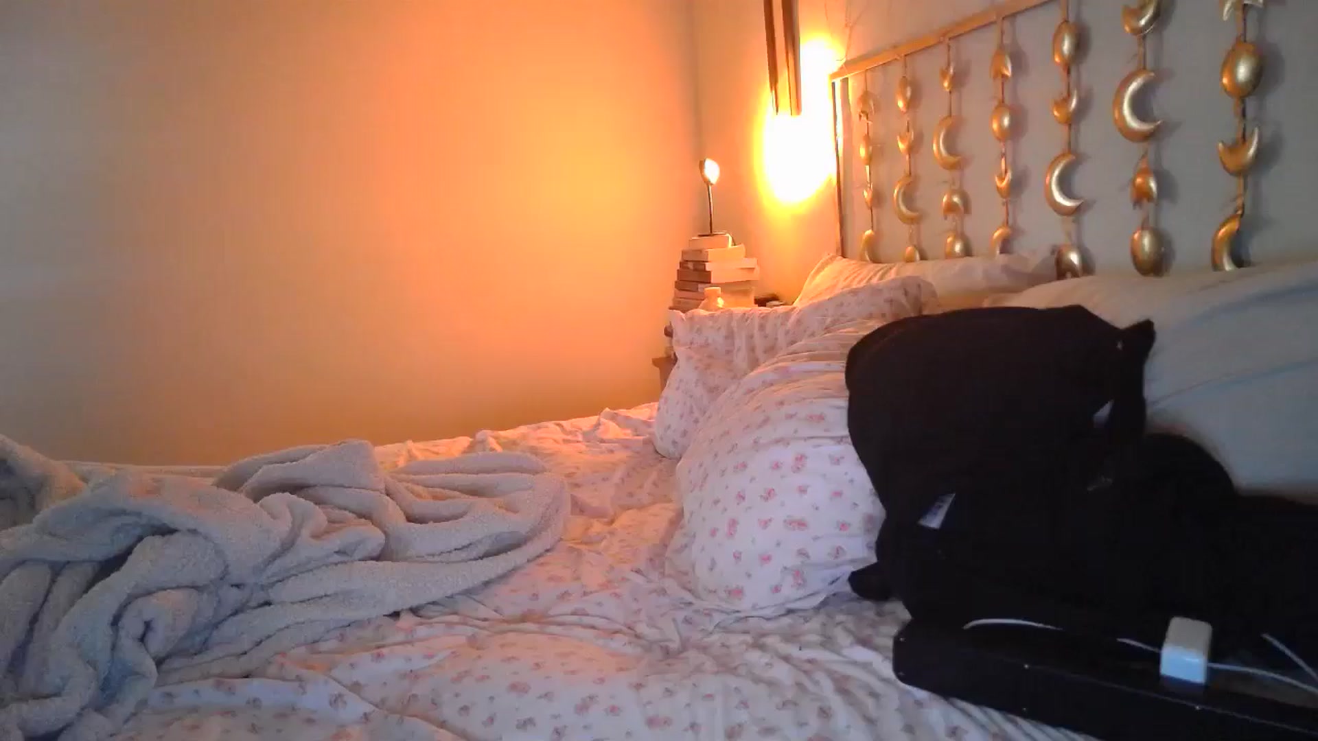 Gallery image thumbnail from TitsMcgeee's myfreecams stream on, 08/29/2024, 22:50 image 12 of 20