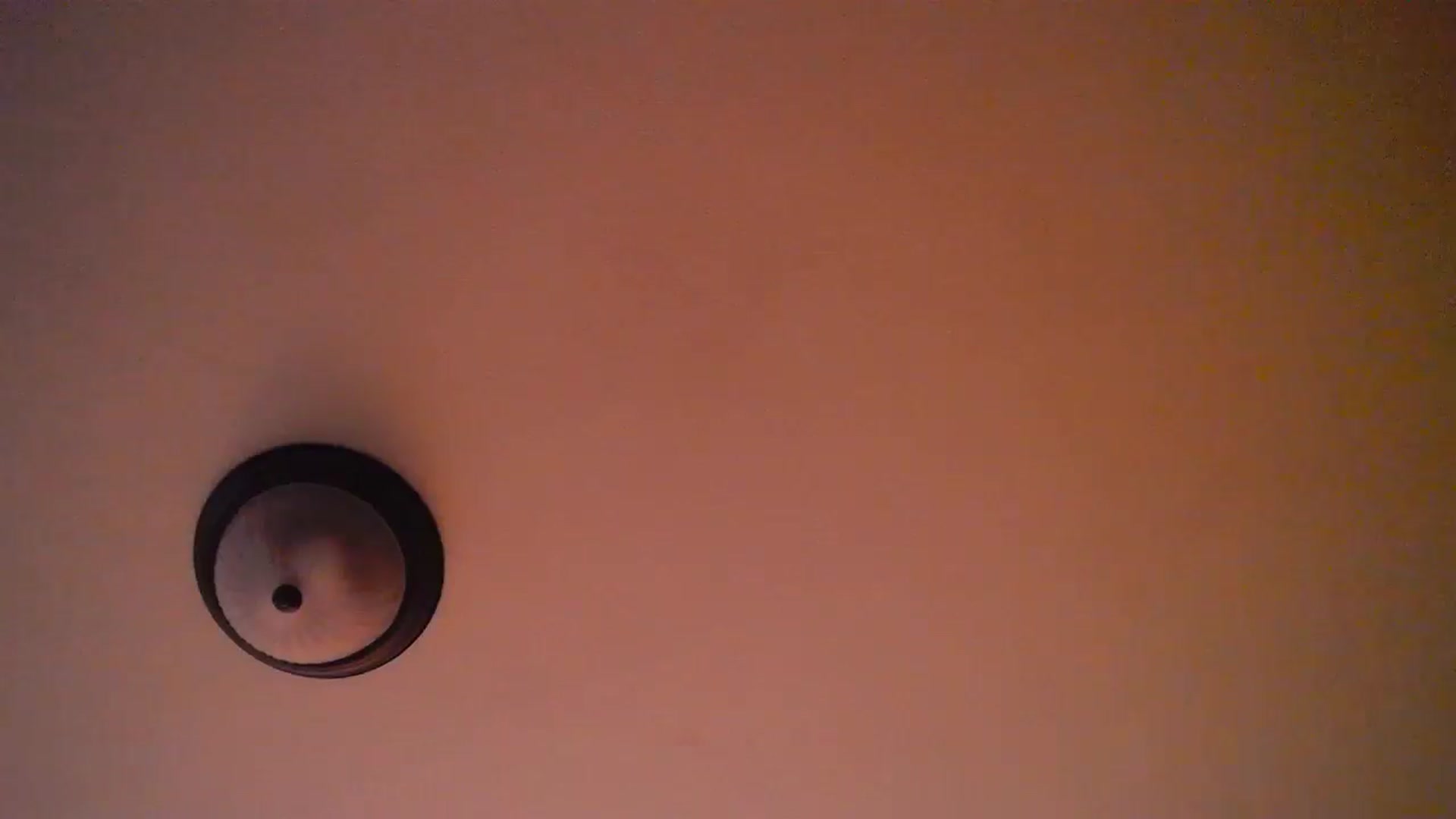 Gallery image thumbnail from TitsMcgeee's myfreecams stream on, 09/08/2024, 02:14 image 16 of 20