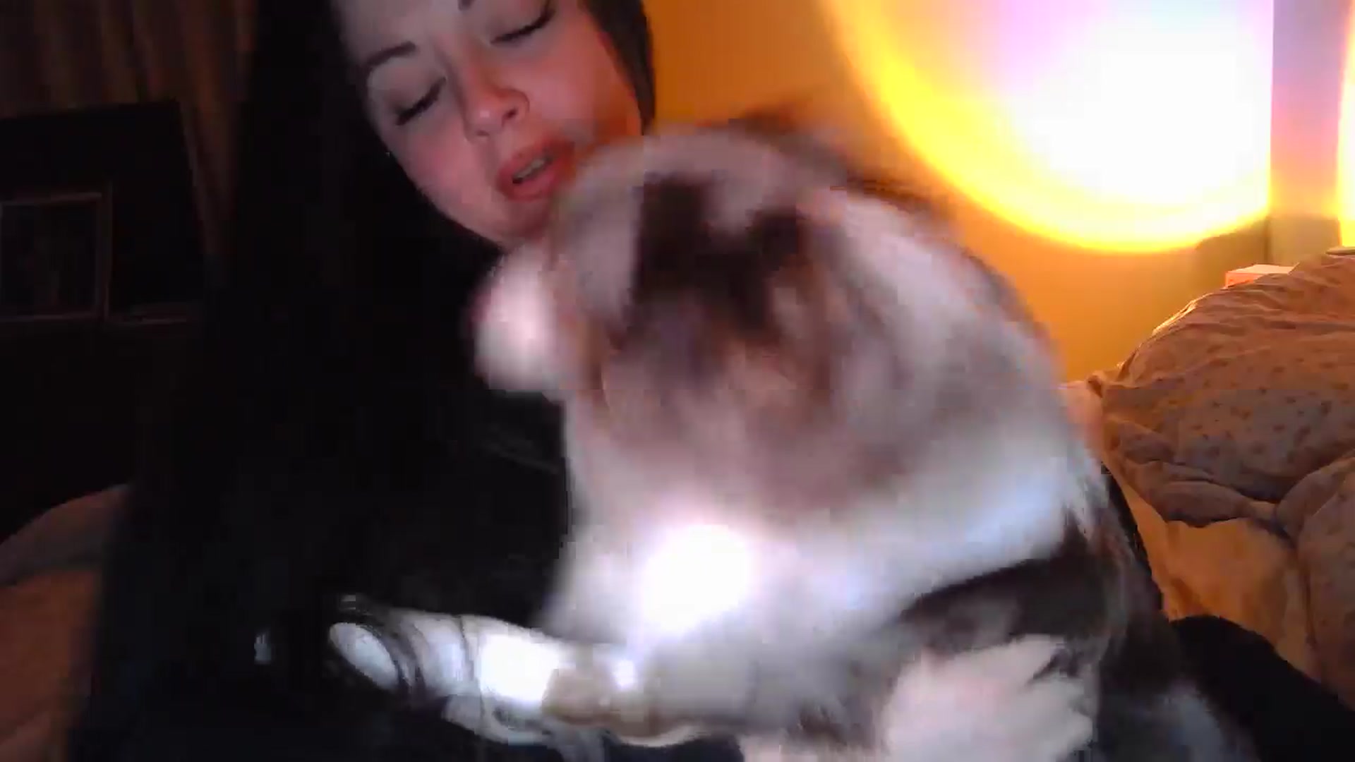 Gallery image thumbnail from TitsMcgeee's myfreecams stream on, 09/16/2024, 08:19 image 19 of 20