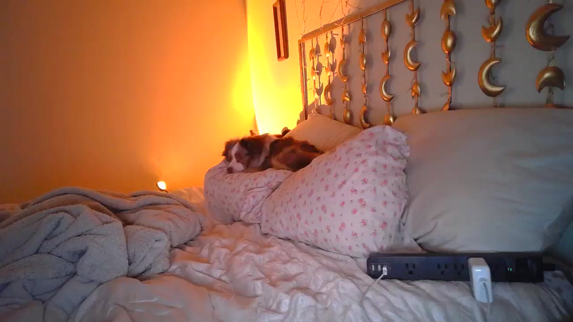 Gallery image thumbnail from TitsMcgeee's myfreecams stream on, 09/17/2024, 22:16 image 10 of 20
