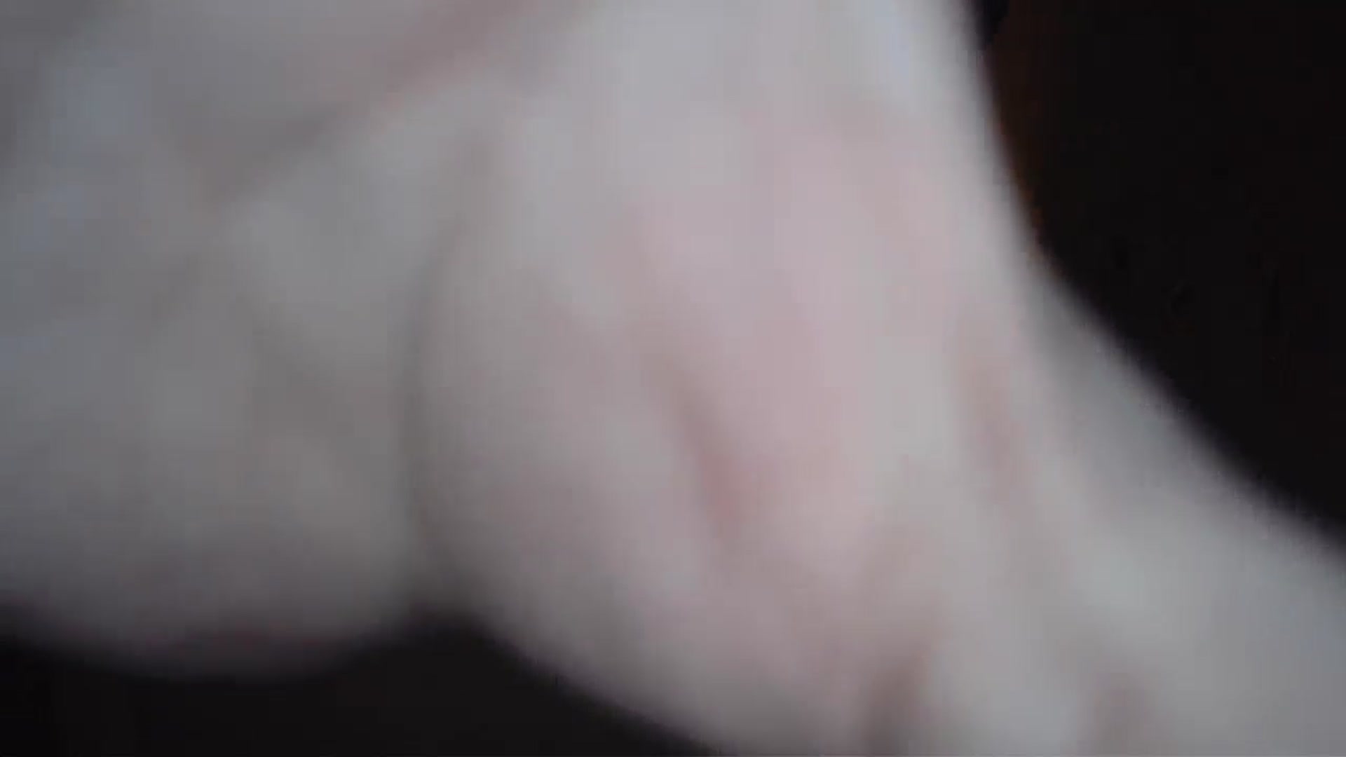 Gallery image thumbnail from TitsMcgeee's myfreecams stream on, 09/17/2024, 22:16 image 20 of 20