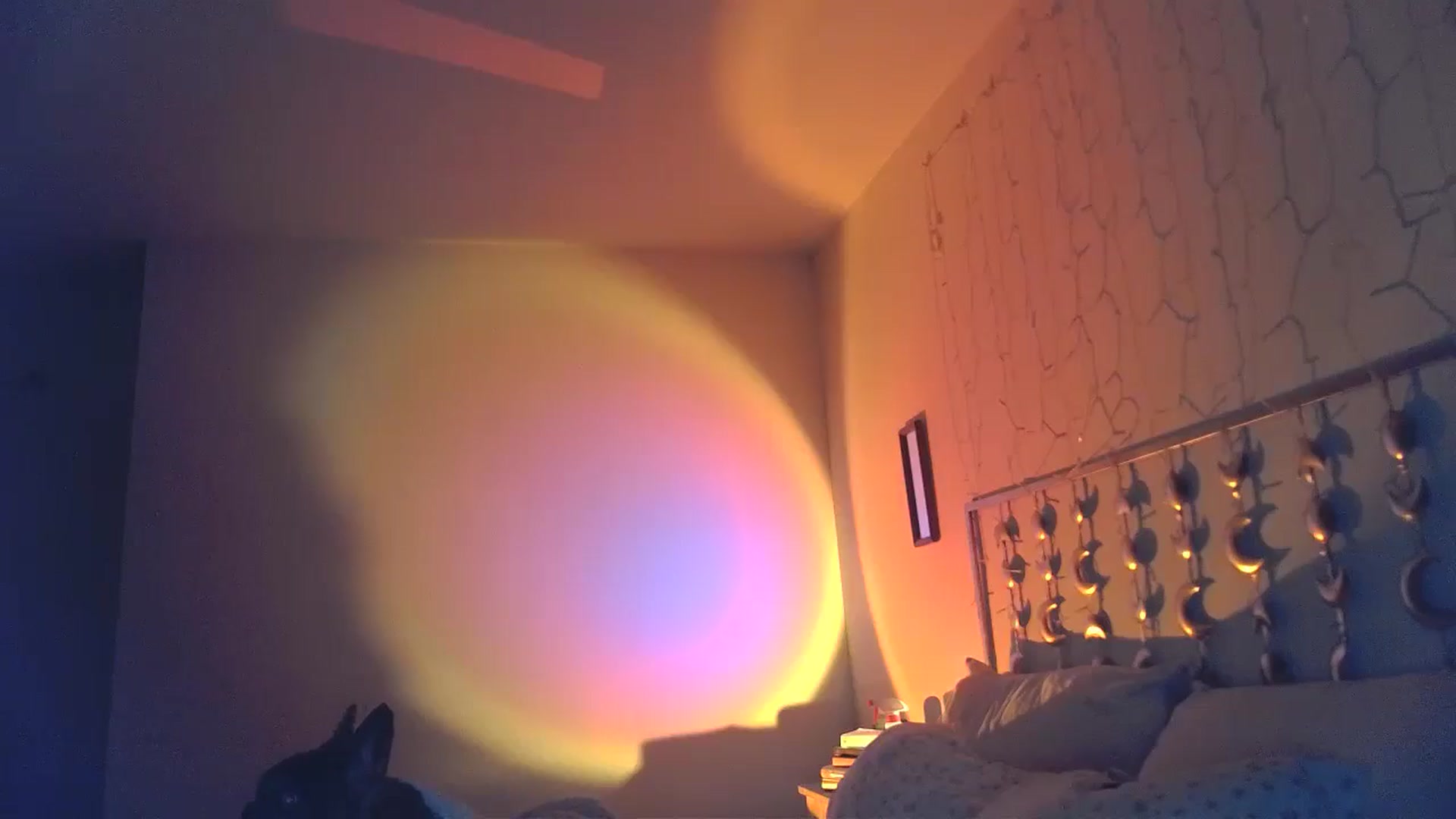 Gallery image thumbnail from TitsMcgeee's myfreecams stream on, 10/08/2024, 12:50 image 8 of 20