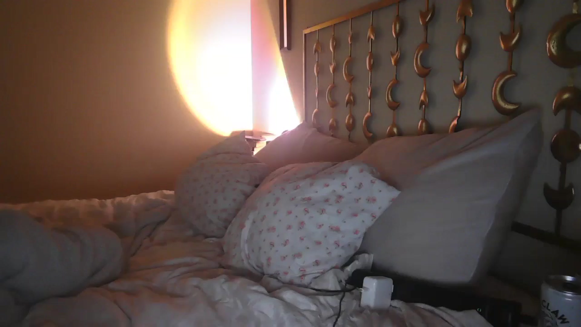 Gallery image thumbnail from TitsMcgeee's myfreecams stream on, 01/16/2025, 23:17 image 15 of 20