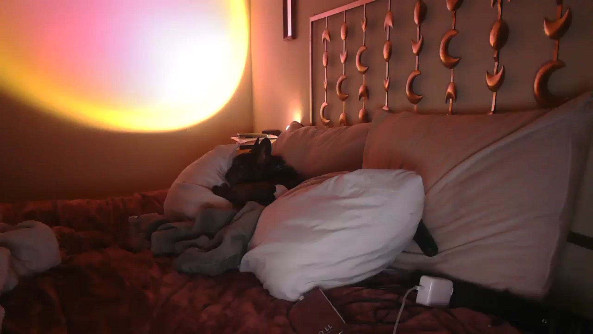 Gallery image thumbnail from TitsMcgeee's myfreecams stream on, 01/27/2025, 07:41 image 19 of 20