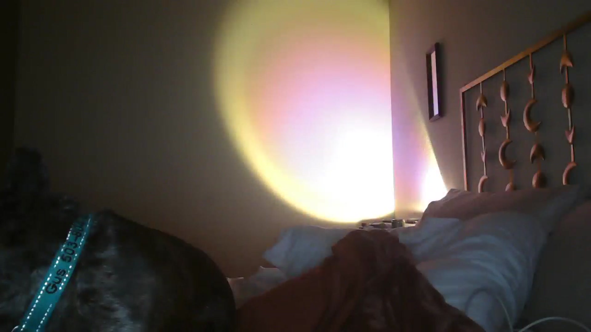 Gallery image thumbnail from TitsMcgeee's myfreecams stream on, 02/01/2025, 11:45 image 12 of 20
