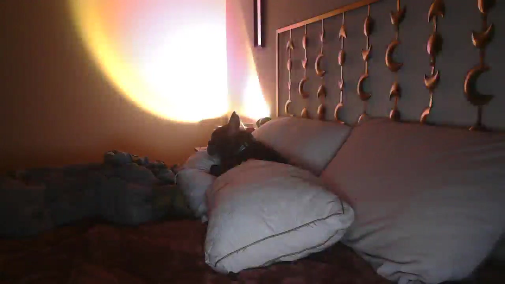 Gallery image thumbnail from TitsMcgeee's myfreecams stream on, 02/08/2025, 09:01 image 6 of 20