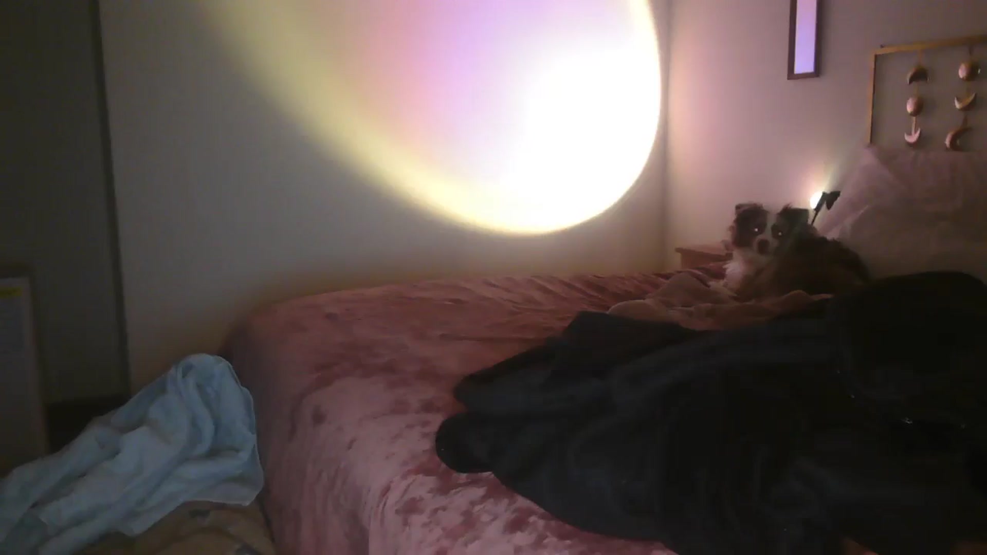 Gallery image thumbnail from TitsMcgeee's myfreecams stream on, 02/19/2025, 03:16 image 15 of 20